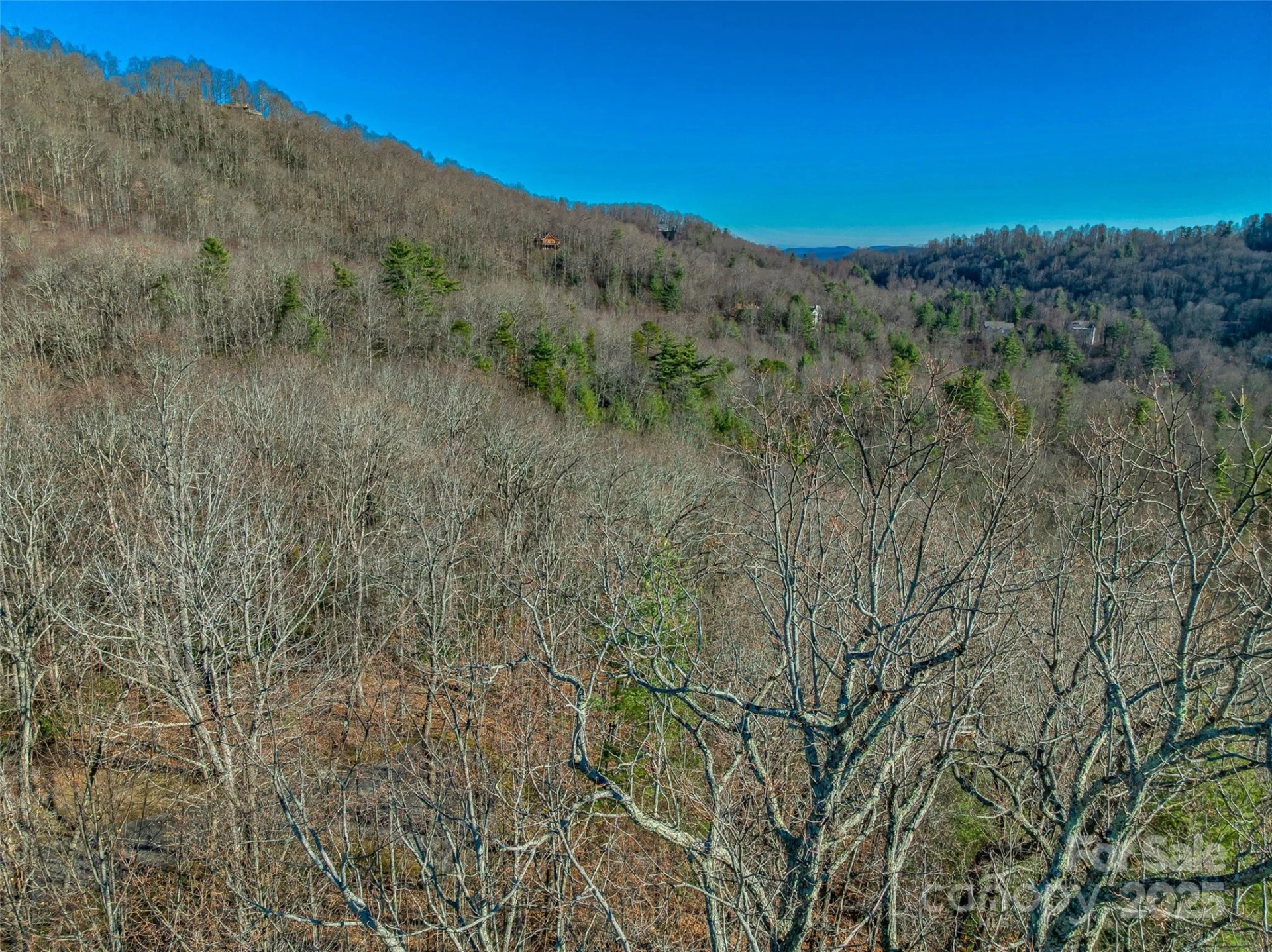 211 Ladys Fern Trail - Photo 12