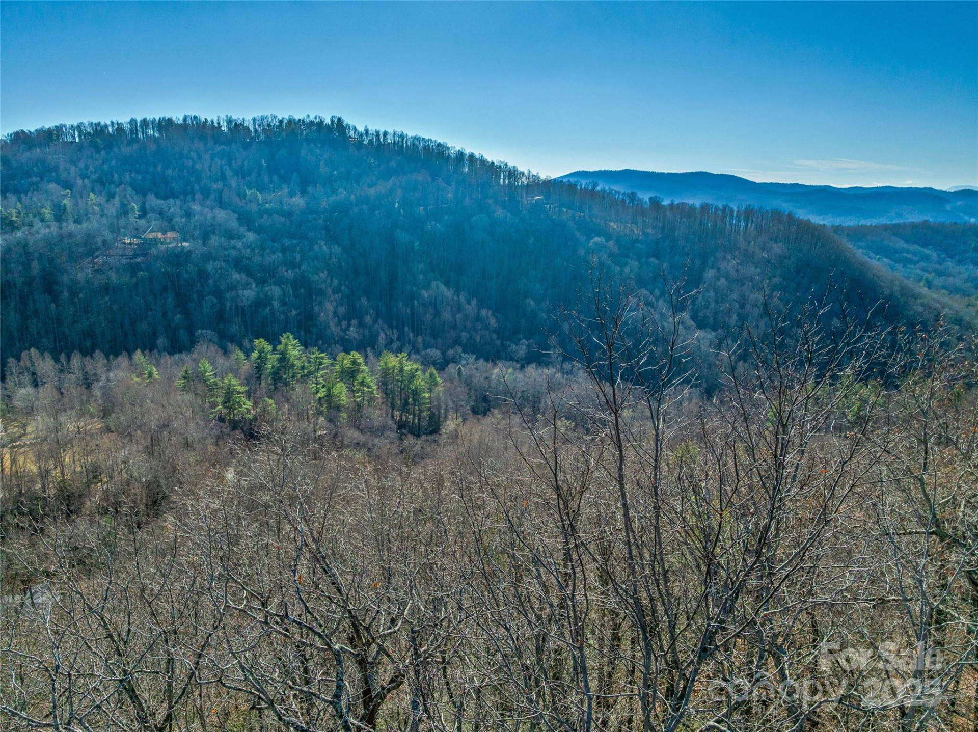 211 Ladys Fern Trail - Photo 13