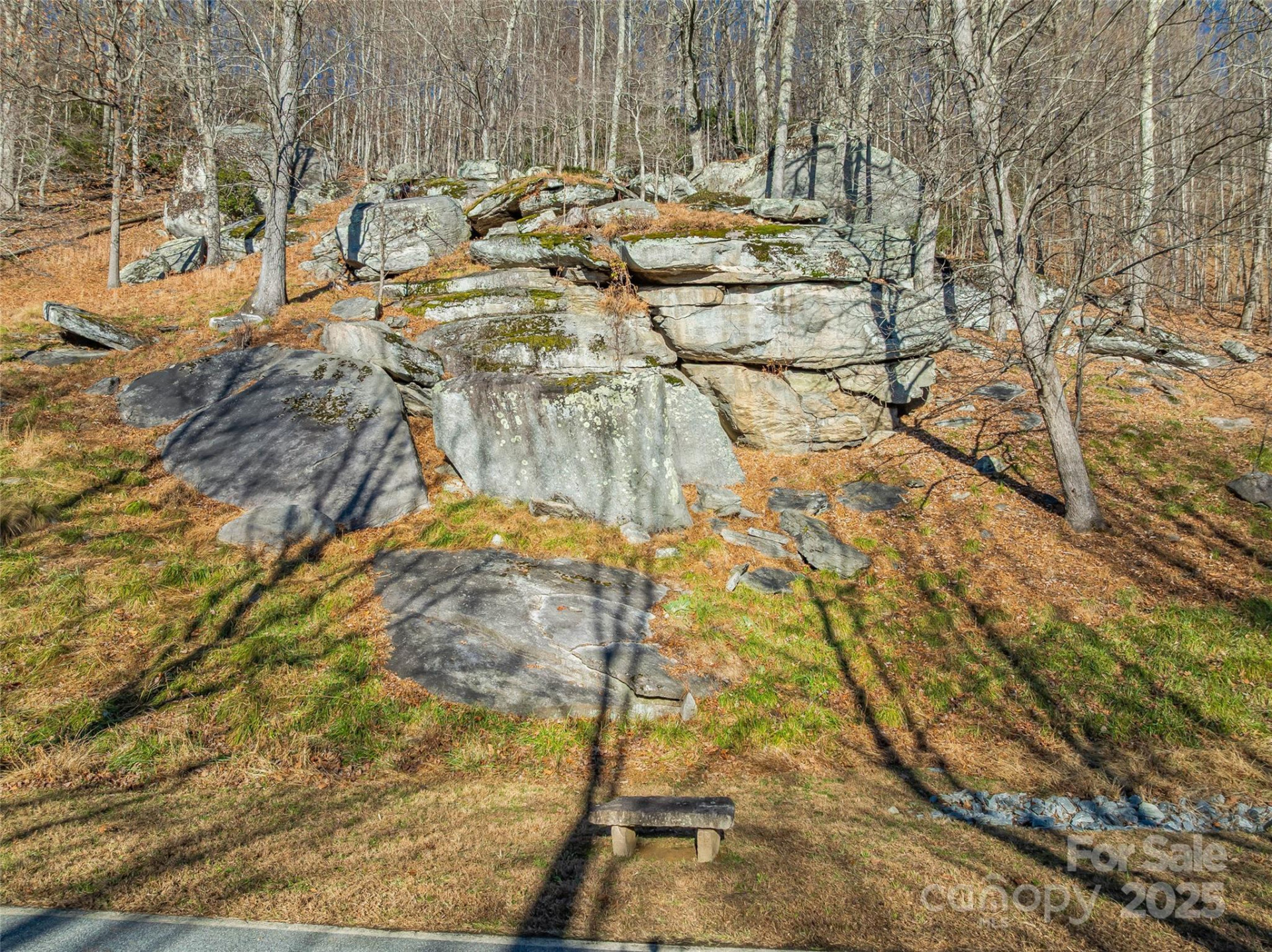 211 Ladys Fern Trail - Photo 29