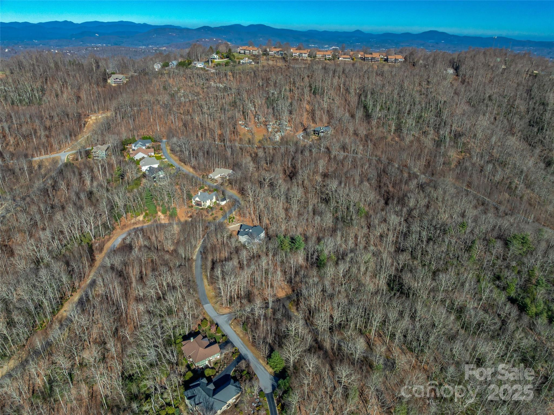 211 Ladys Fern Trail - Photo 6