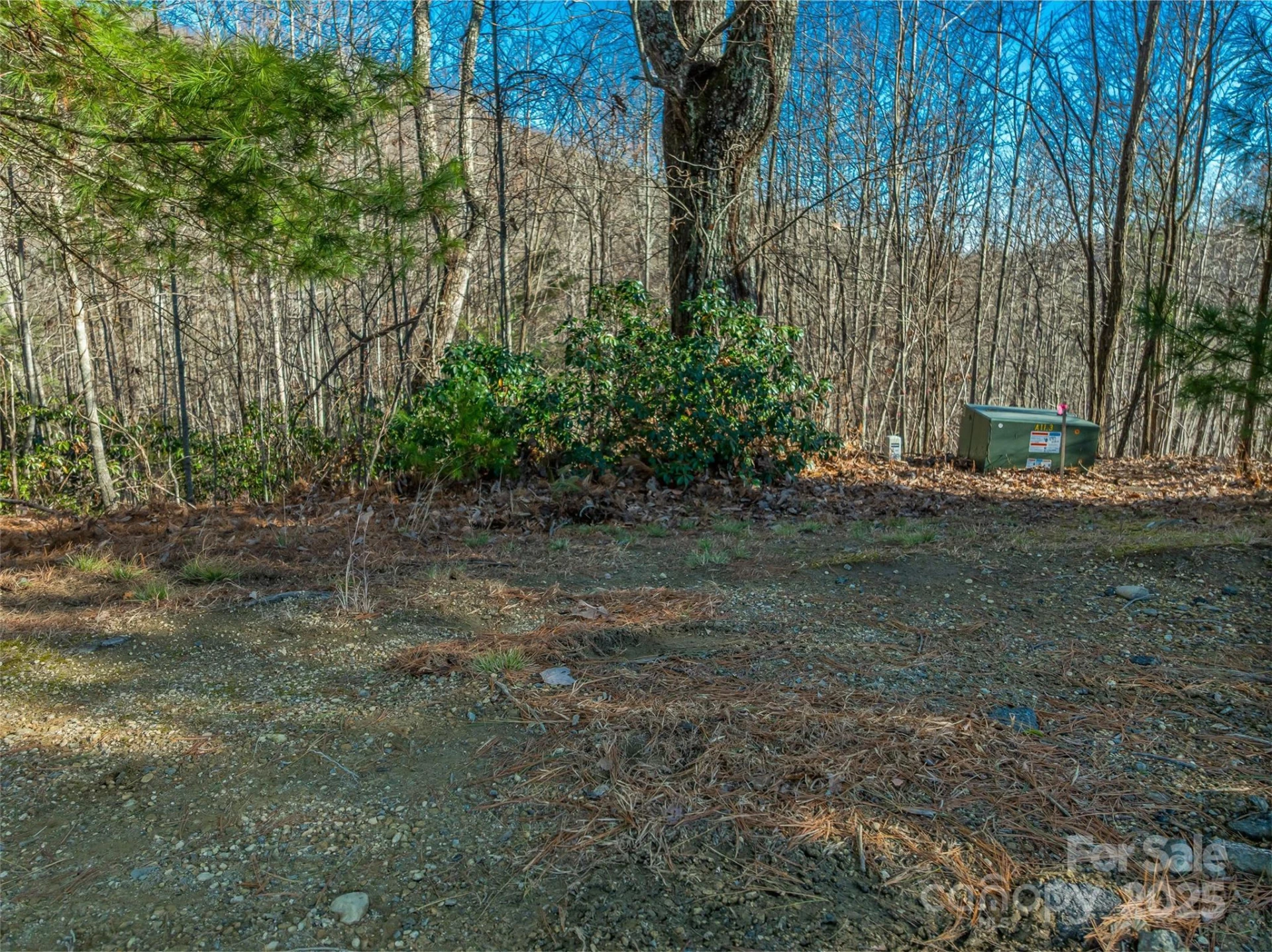 211 Ladys Fern Trail - Photo 7