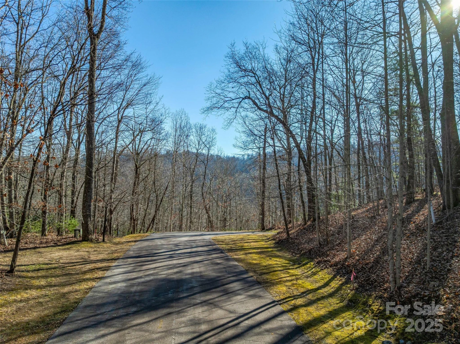 211 Ladys Fern Trail - Photo 10