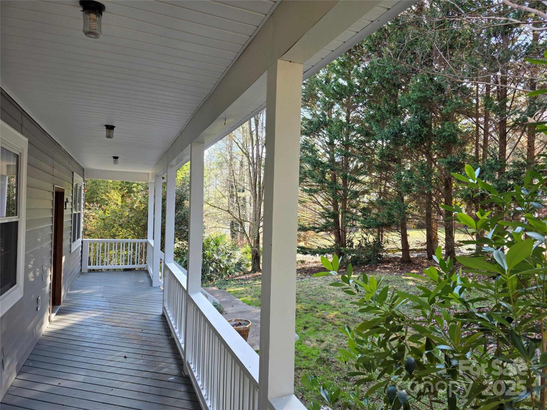 12 White Squirrel Lane - Photo 6