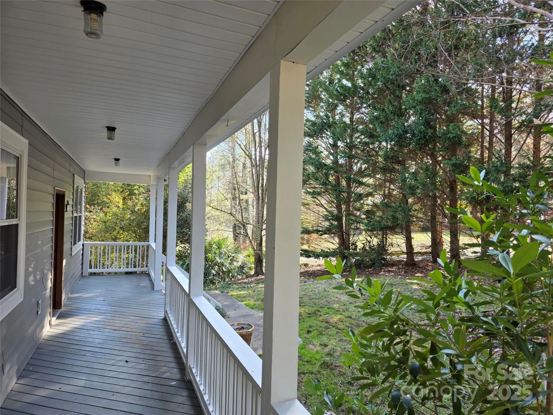 12 White Squirrel Lane - Photo 6