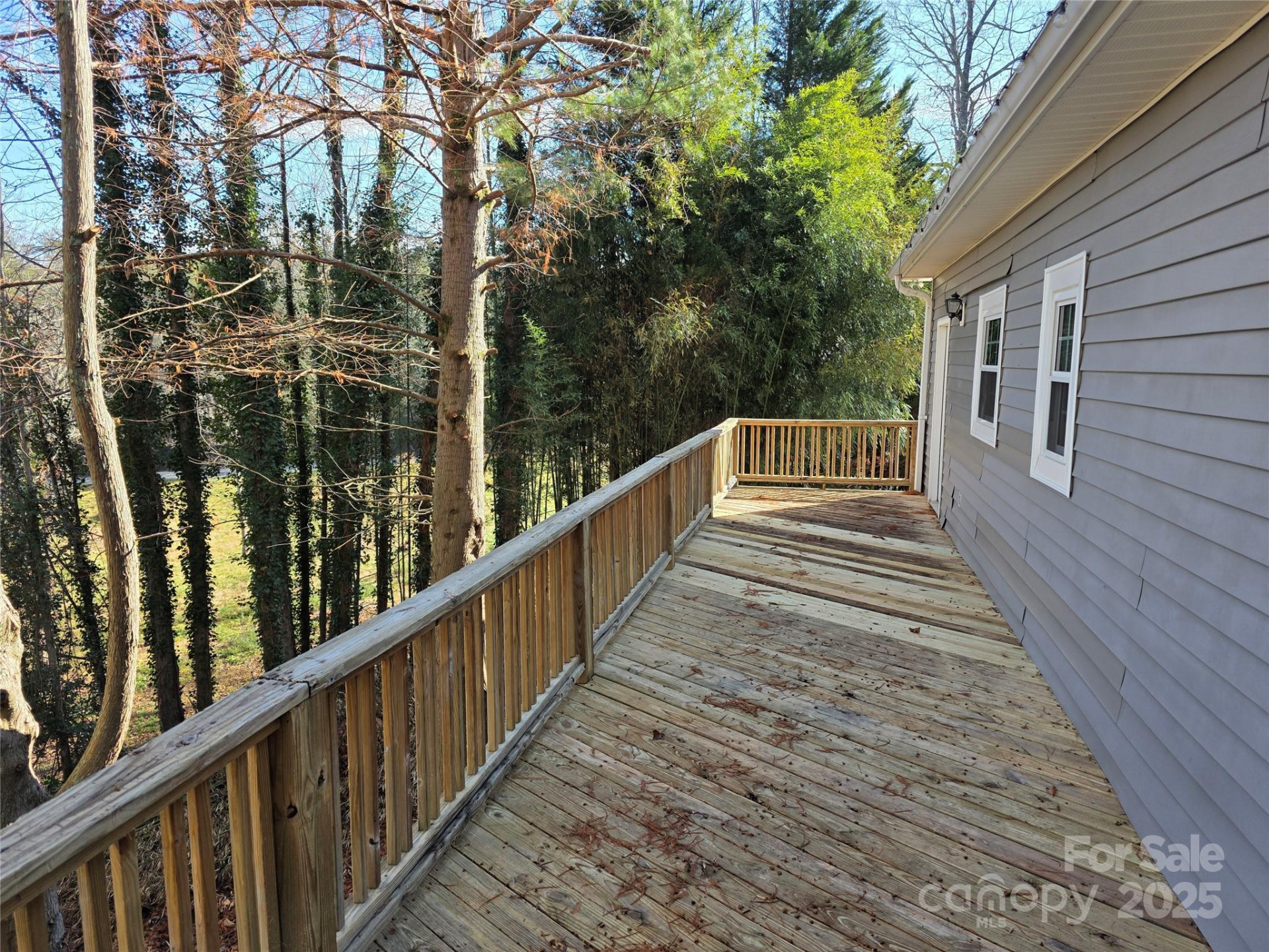 12 White Squirrel Lane - Photo 7