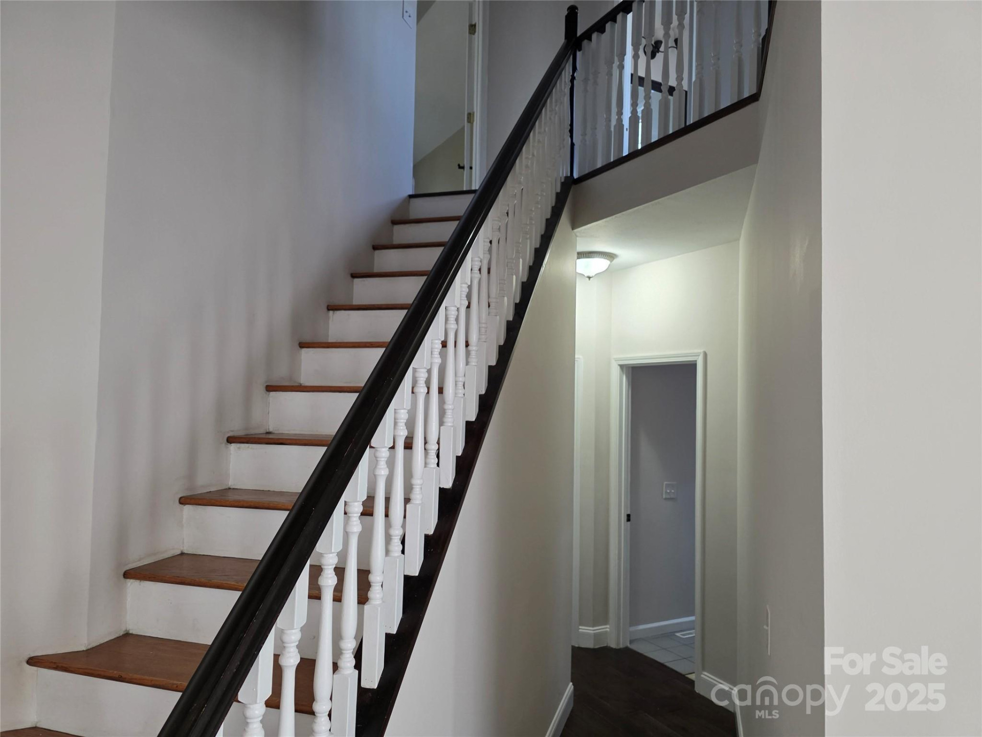 12 White Squirrel Lane - Photo 8