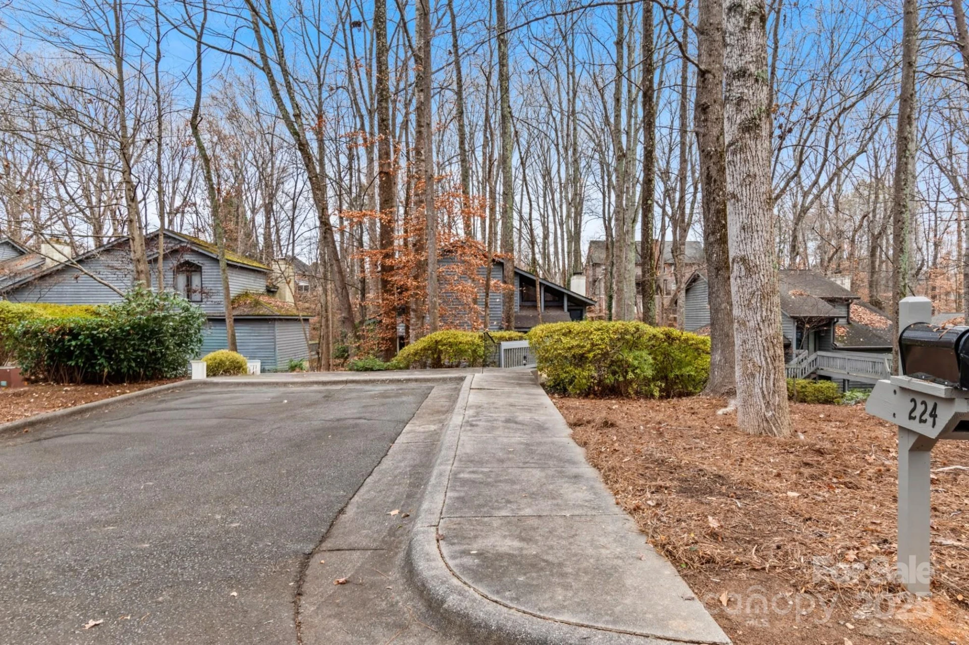 224 Forest Brook Drive - Photo 33