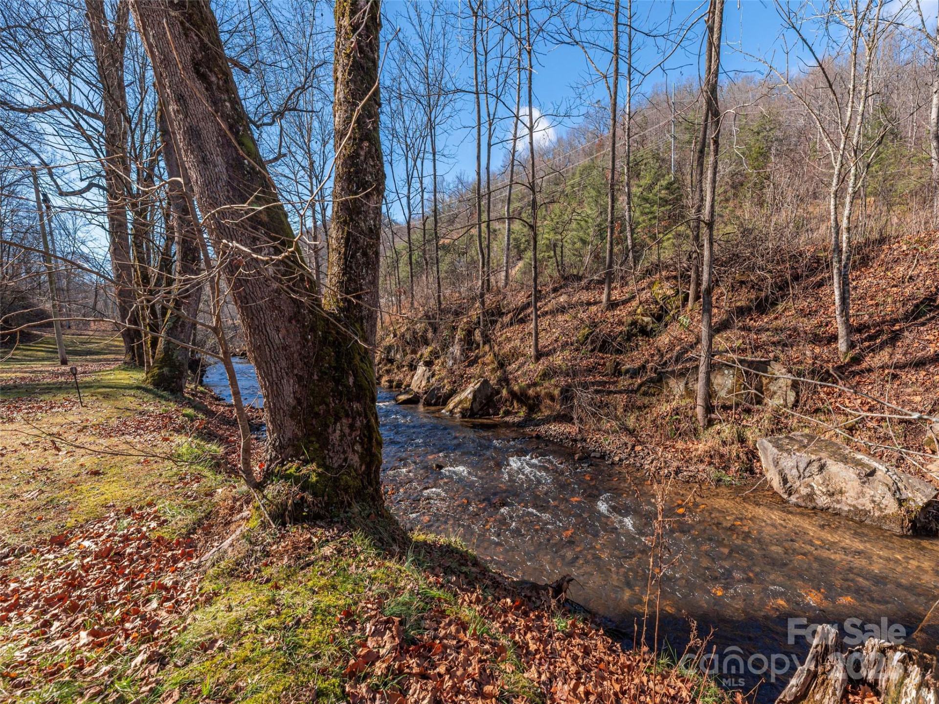 187 Turtle Creek Road - Photo 32