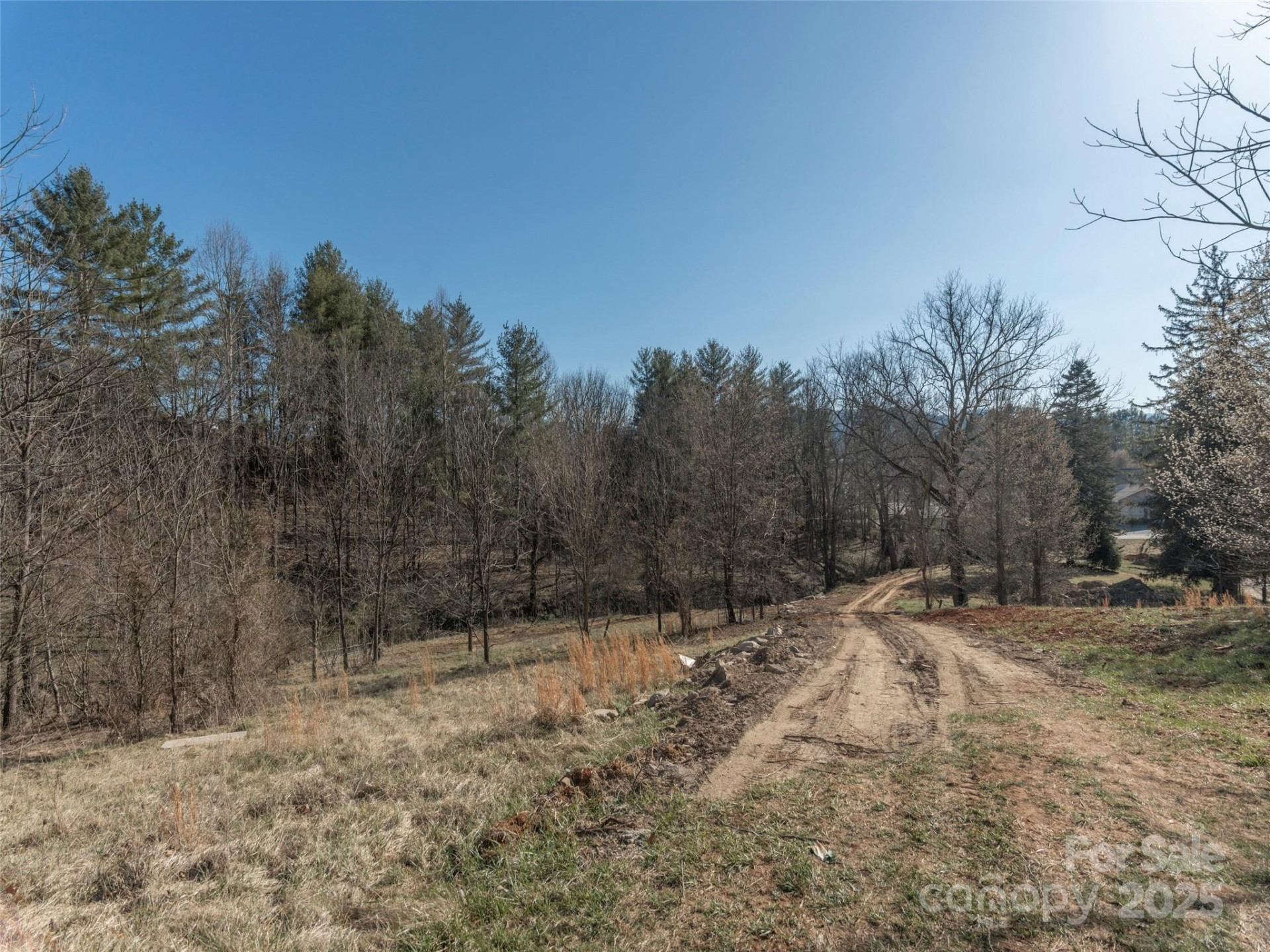 74 Buckeye Cove Road - Photo 3