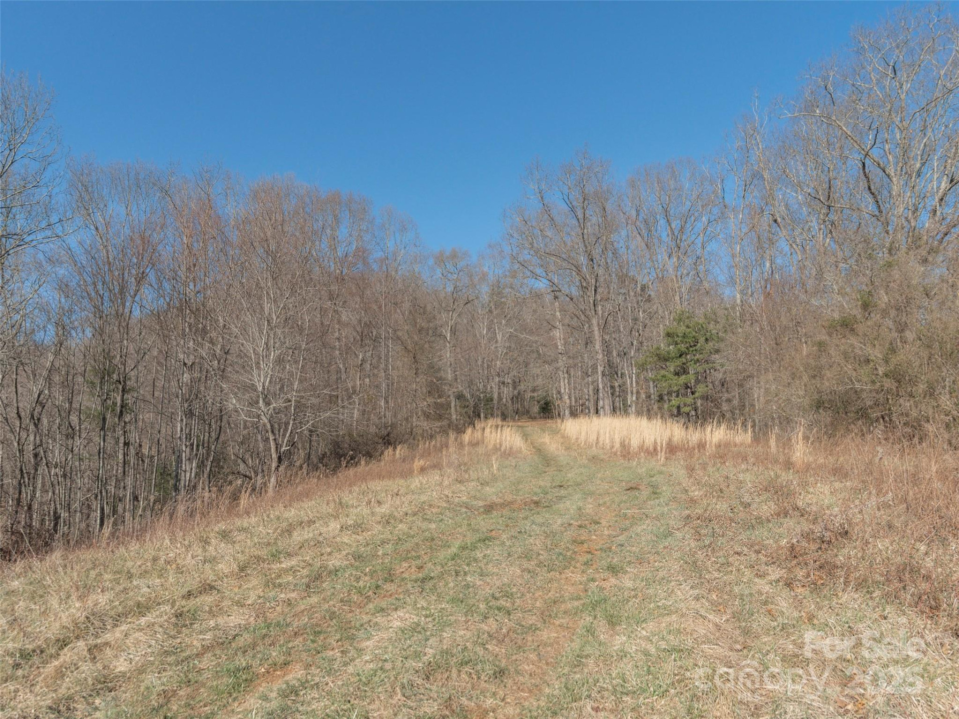 74 Buckeye Cove Road - Photo 7