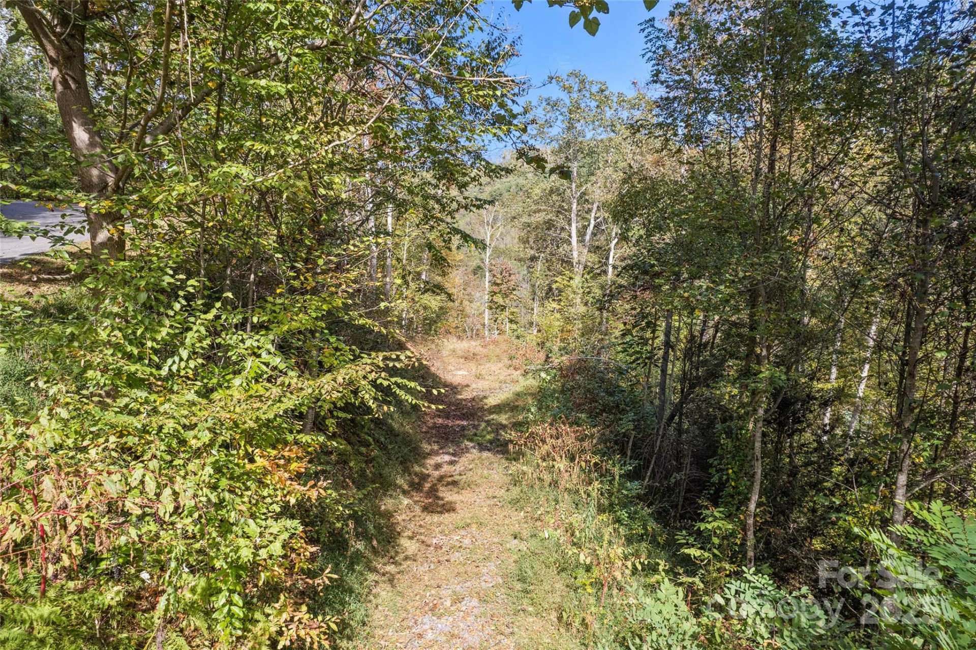 16 Harleys Cove - Photo 12