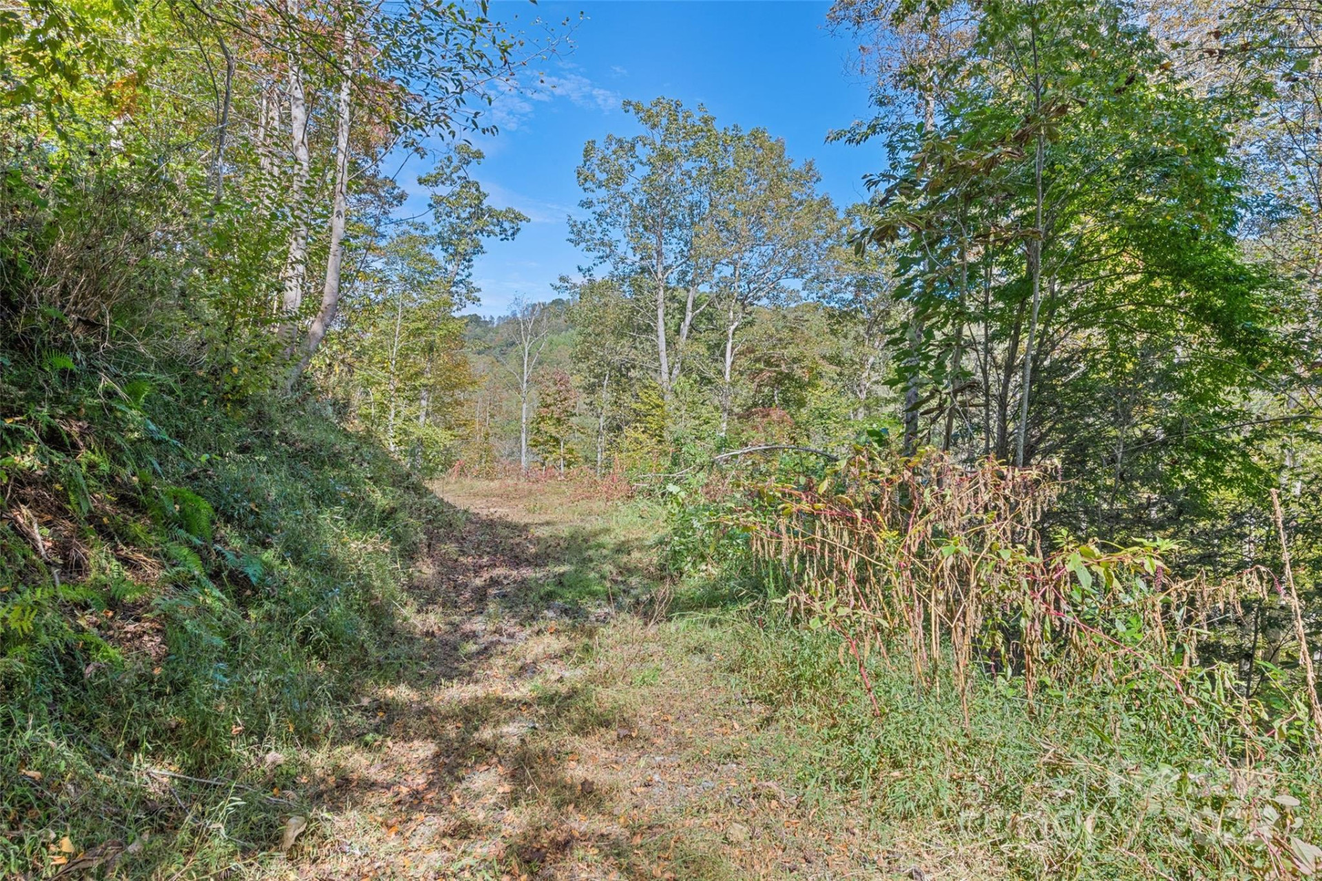 16 Harleys Cove - Photo 16