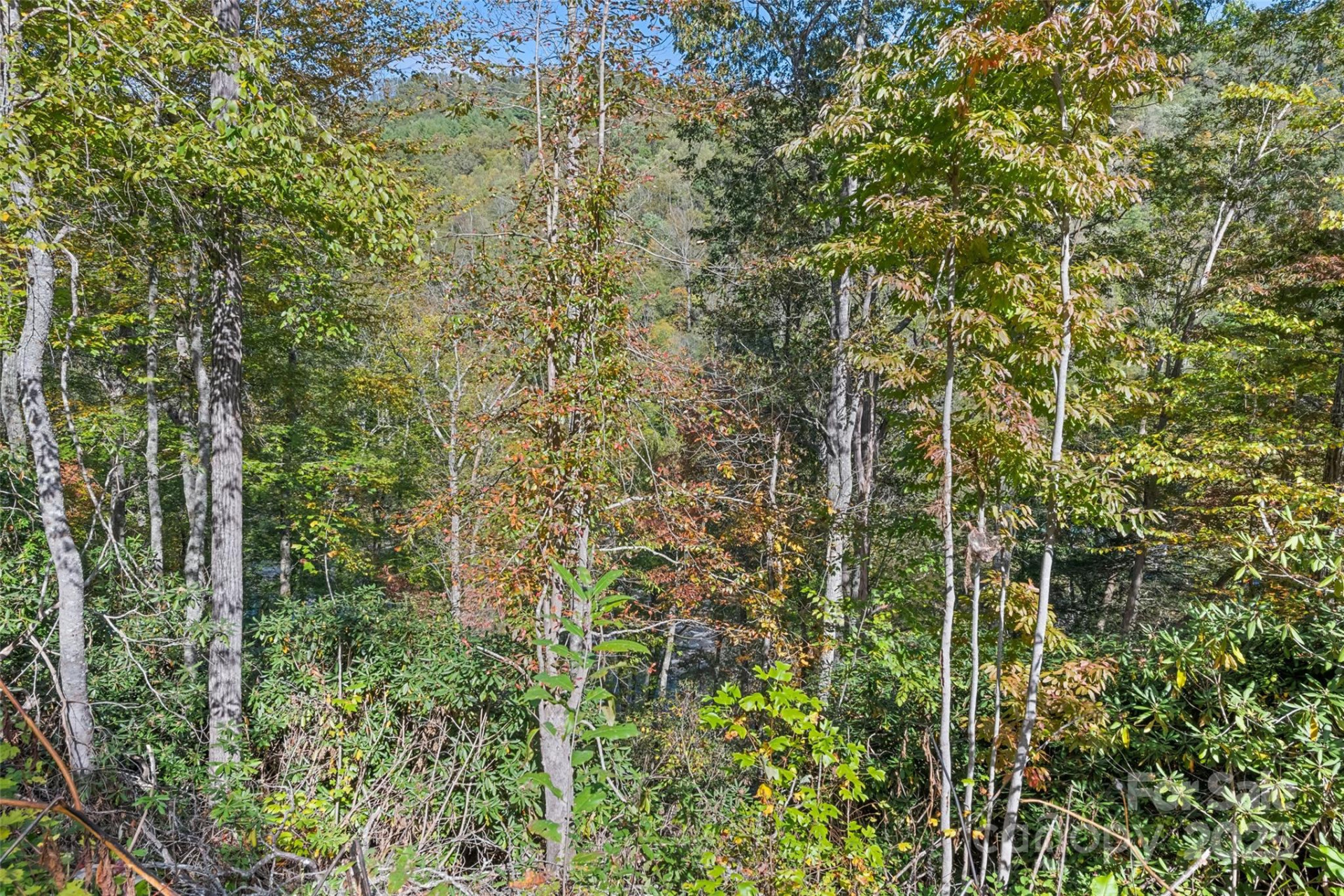 16 Harleys Cove - Photo 17