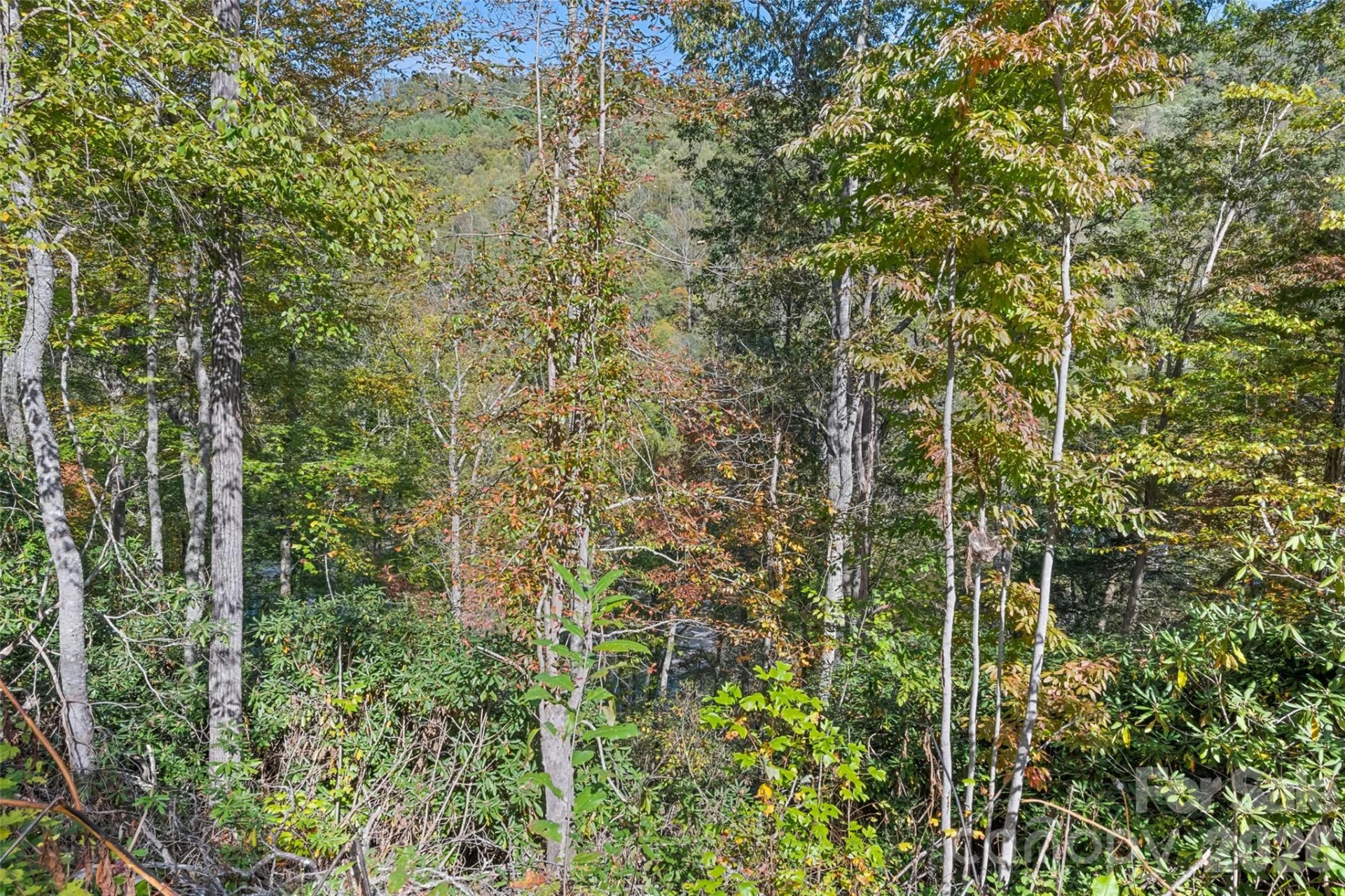16 Harleys Cove - Photo 17