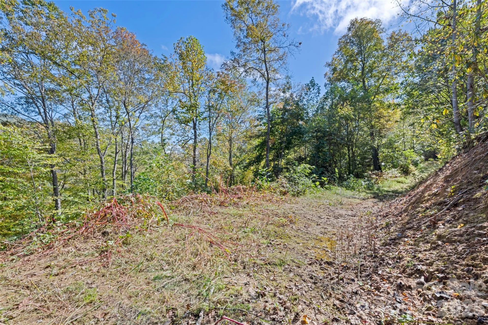 16 Harleys Cove - Photo 18