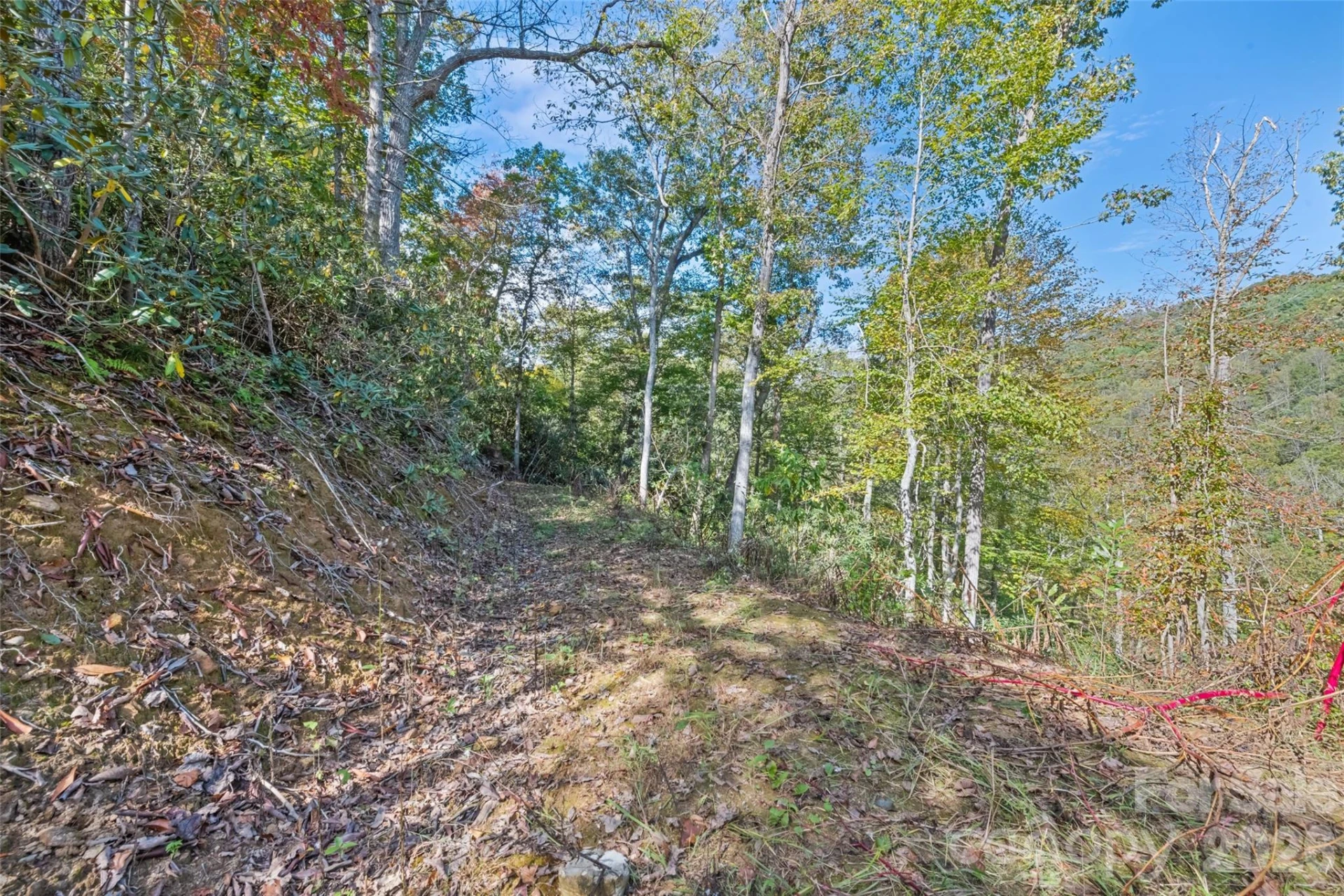 16 Harleys Cove - Photo 19