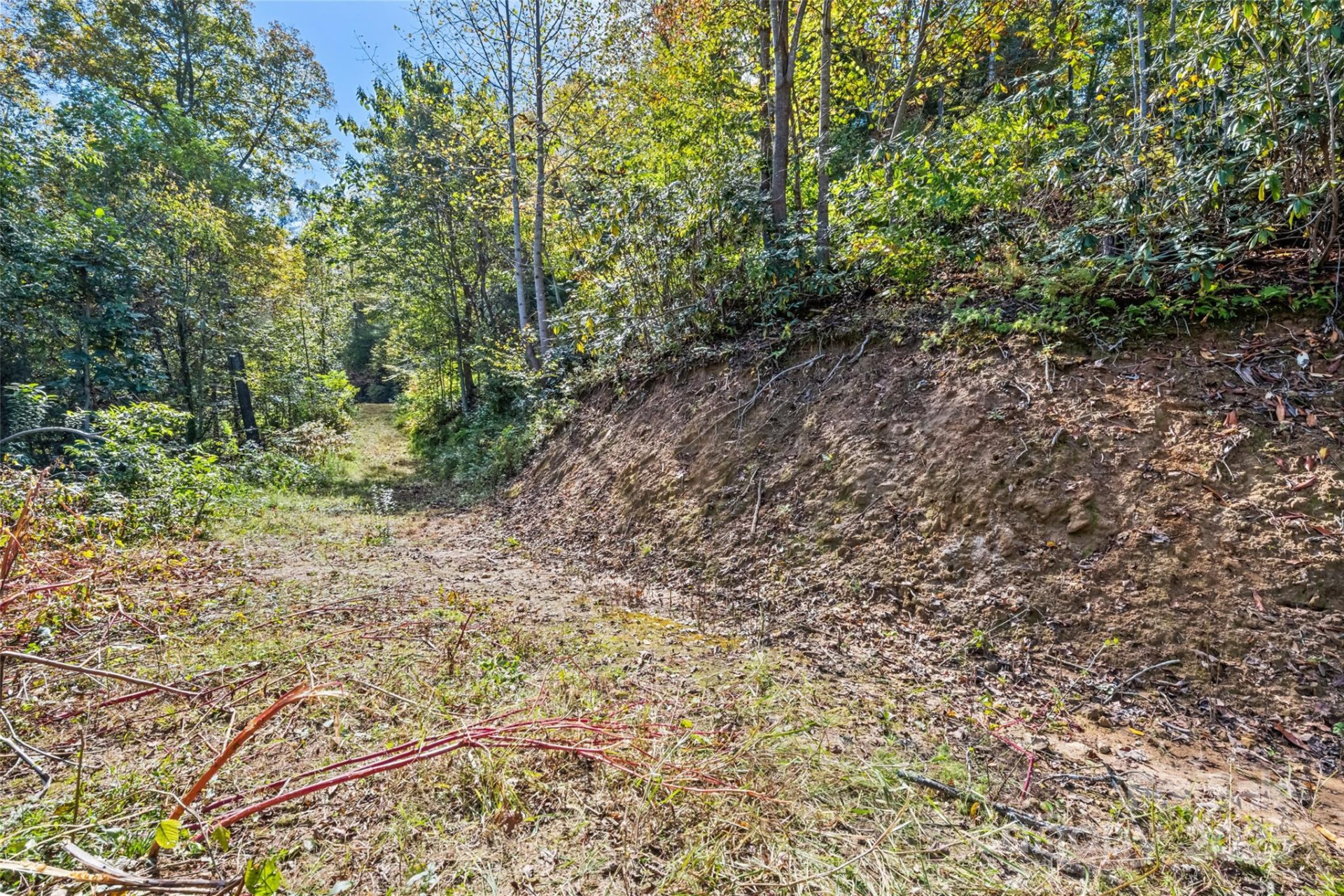 16 Harleys Cove - Photo 20