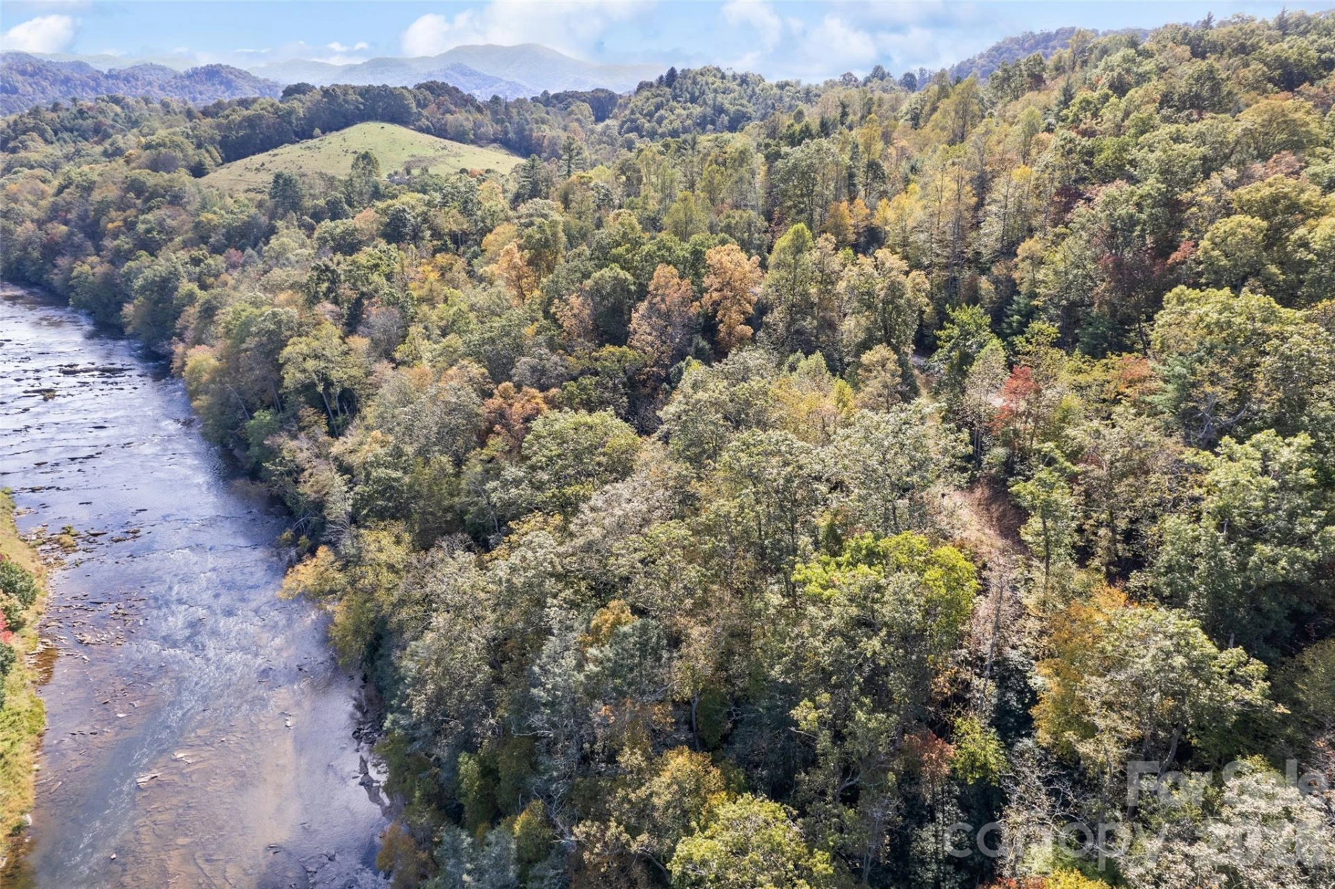 16 Harleys Cove - Photo 8