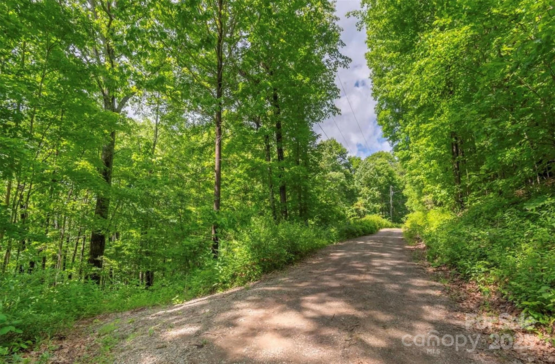 99999 Sara Ridge Road #32C - Photo 2