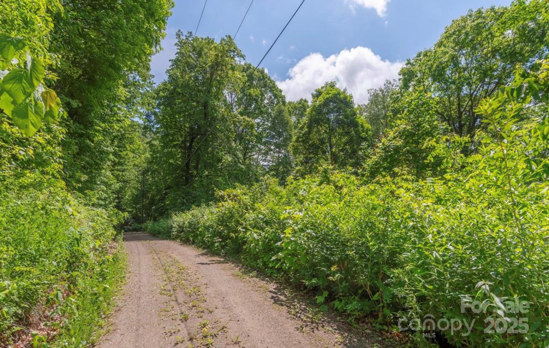 99999 Sara Ridge Road #32C - Photo 3