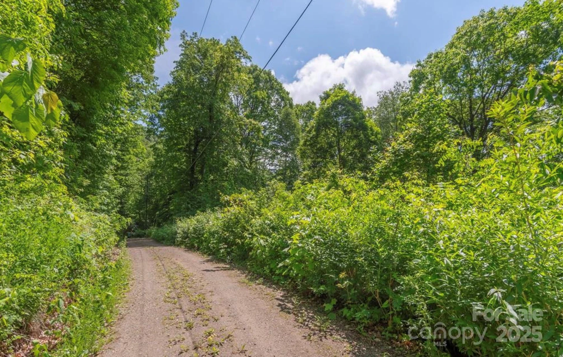 99999 Sara Ridge Road #32C - Photo 3