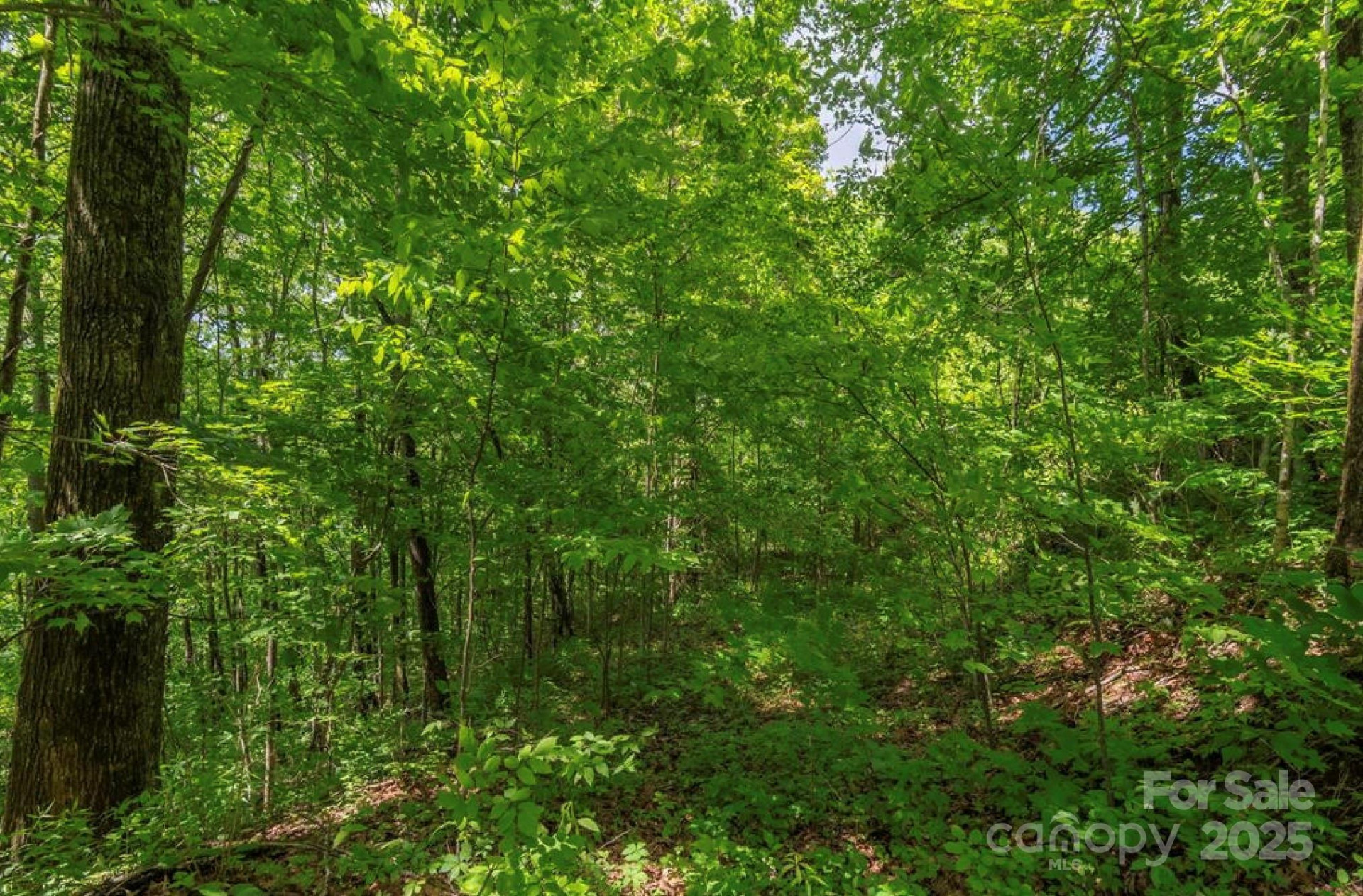 99999 Sara Ridge Road #32C - Photo 4