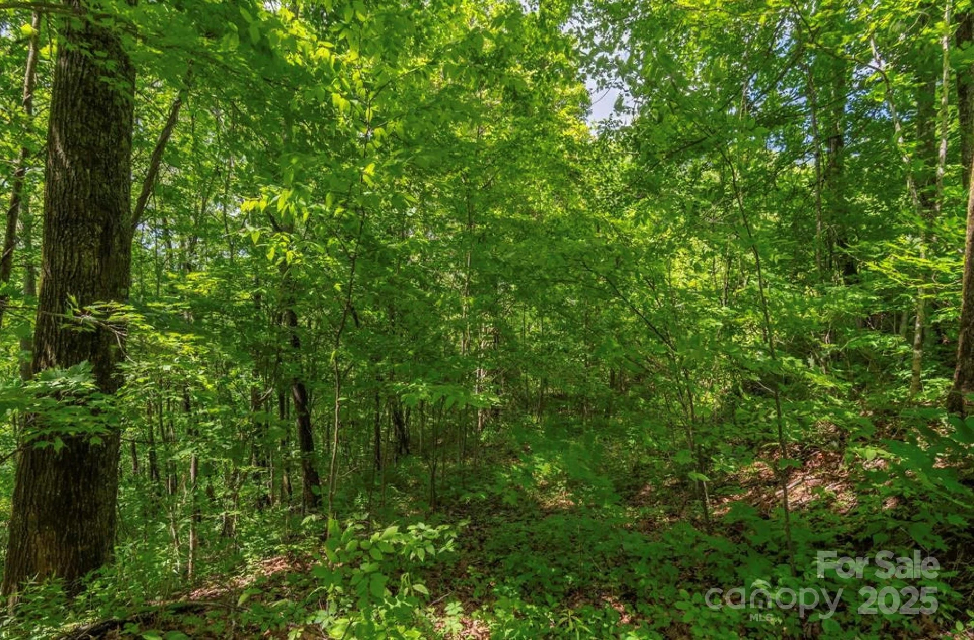 99999 Sara Ridge Road #32C - Photo 4