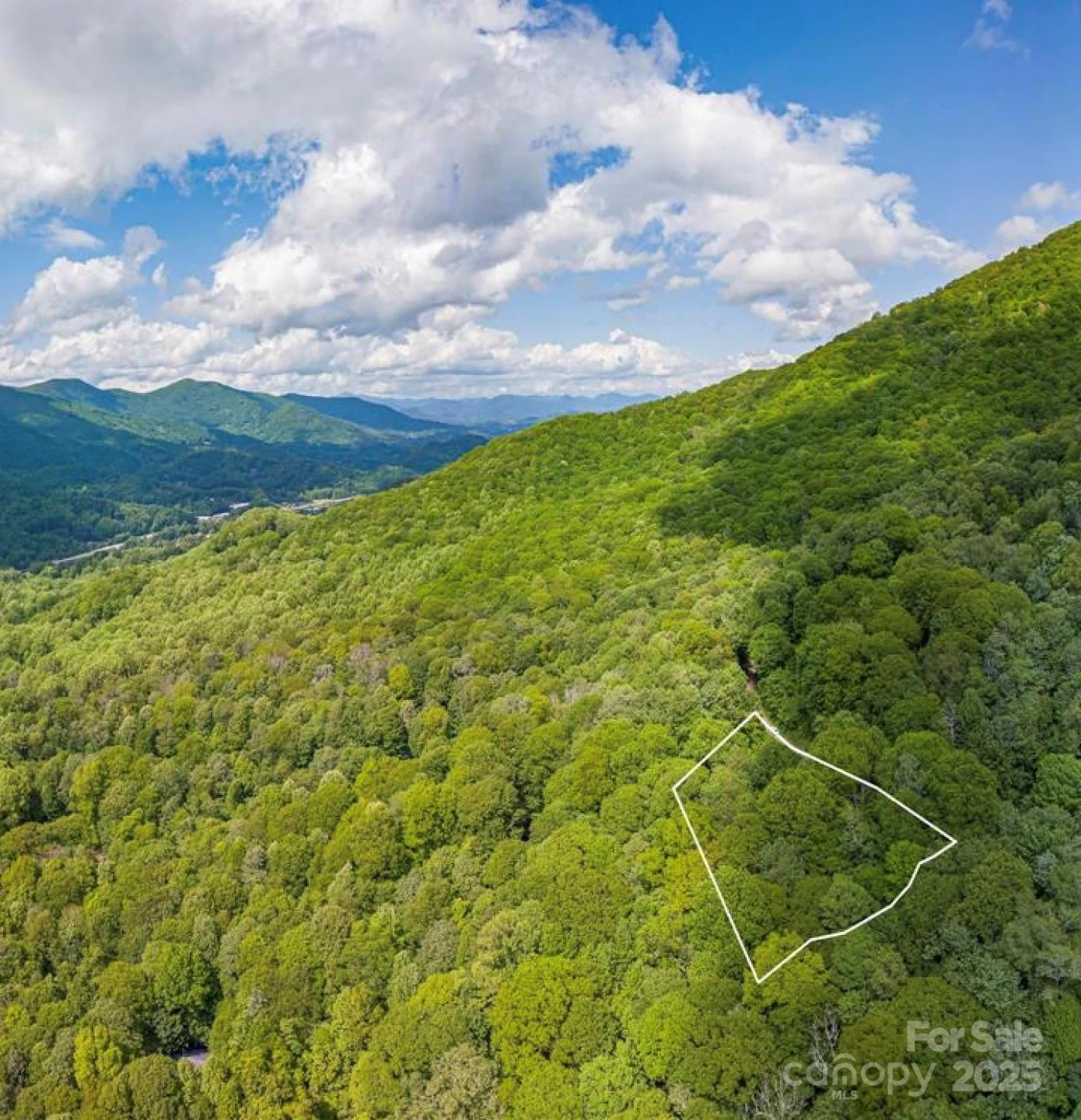 99999 Sara Ridge Road #32C - Photo 6