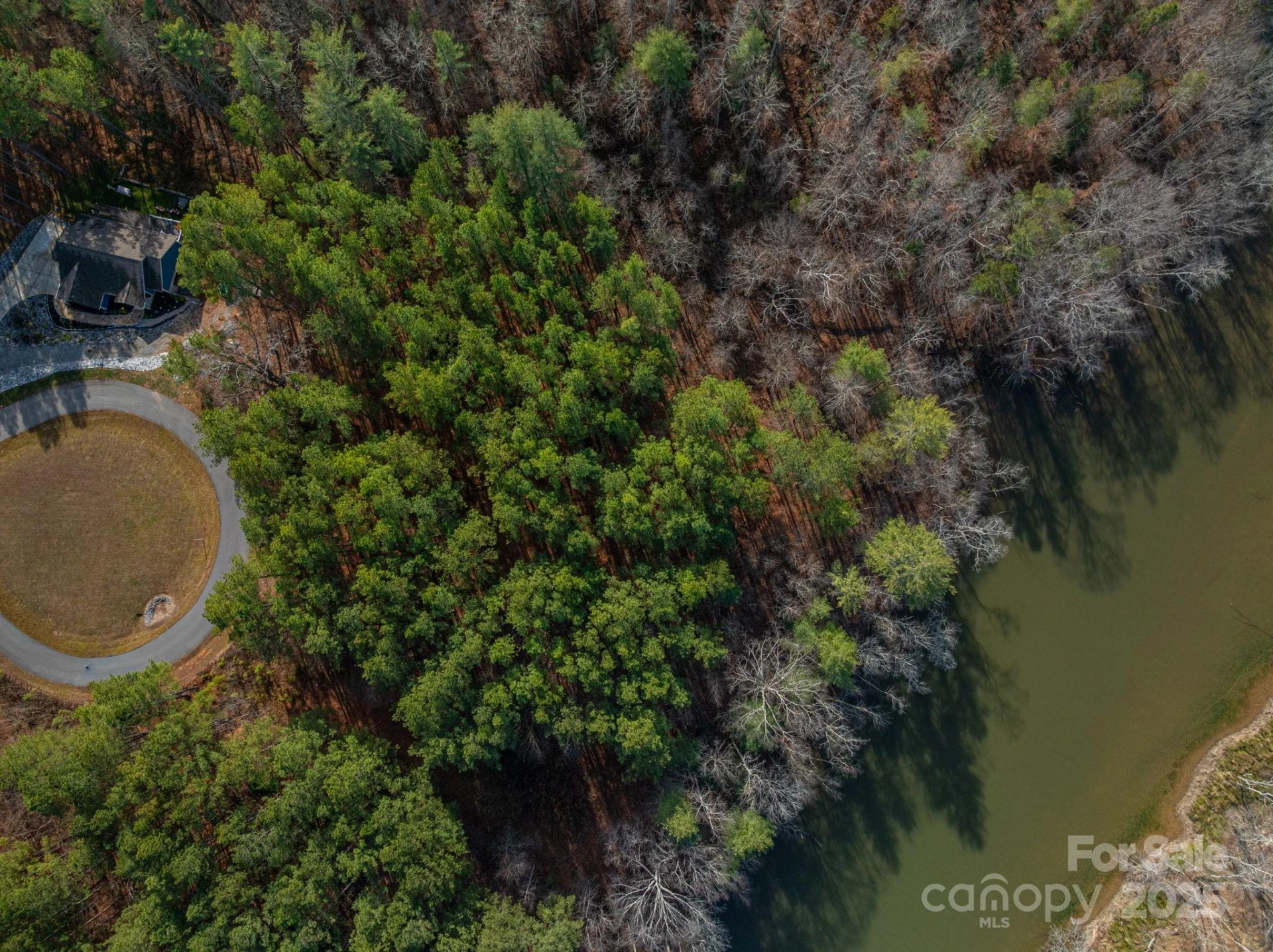 125 Catawba Cove Drive - Photo 3