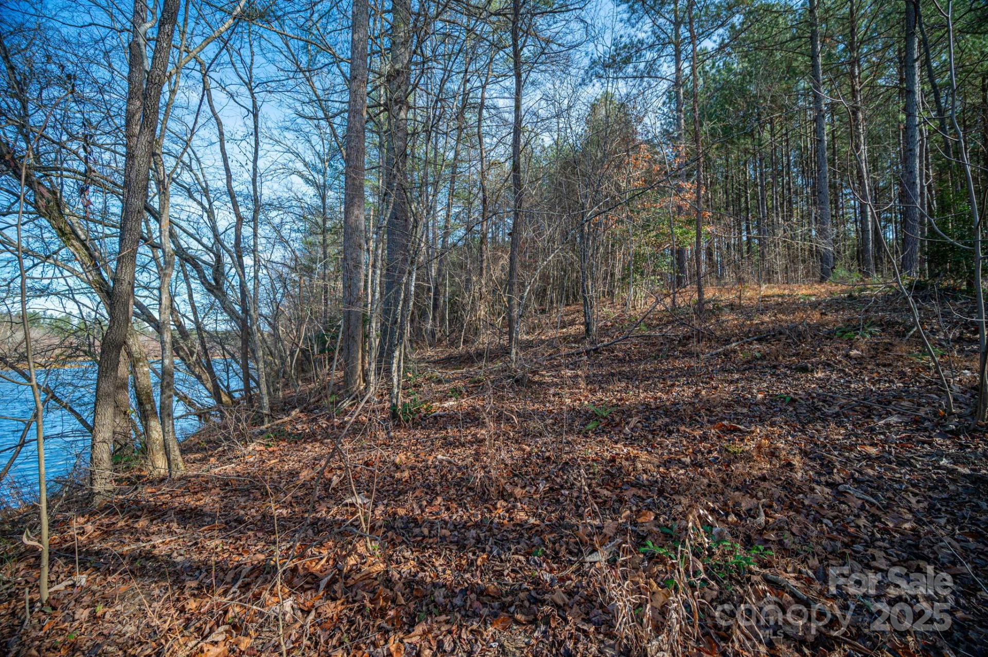 125 Catawba Cove Drive - Photo 23