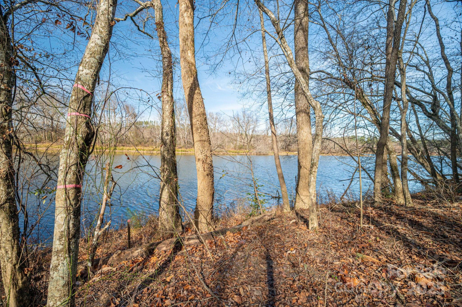 125 Catawba Cove Drive - Photo 25