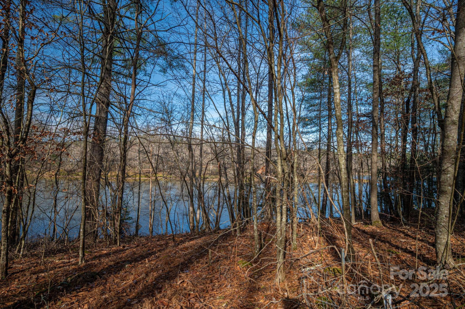 125 Catawba Cove Drive - Photo 26