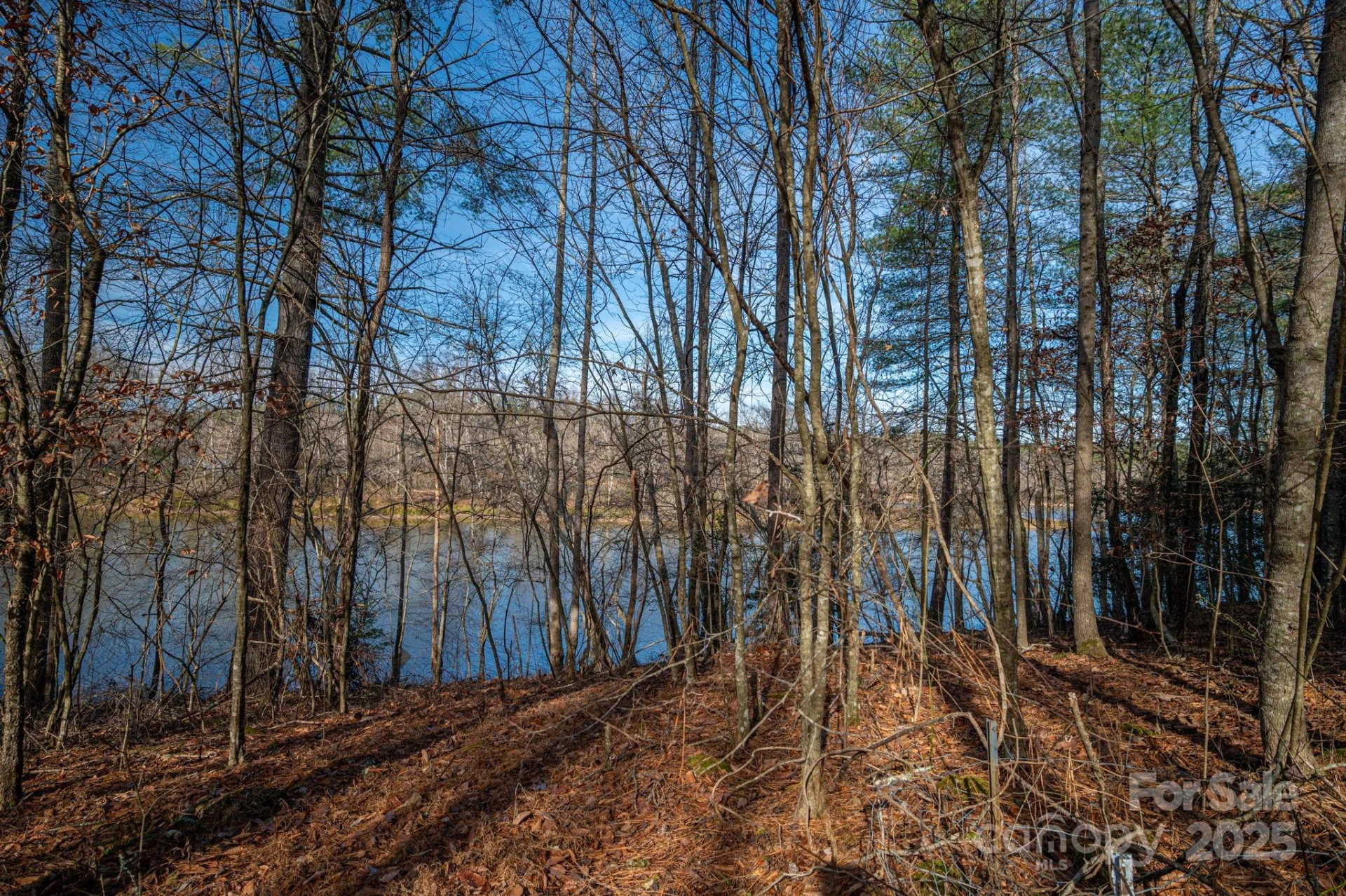 125 Catawba Cove Drive - Photo 26
