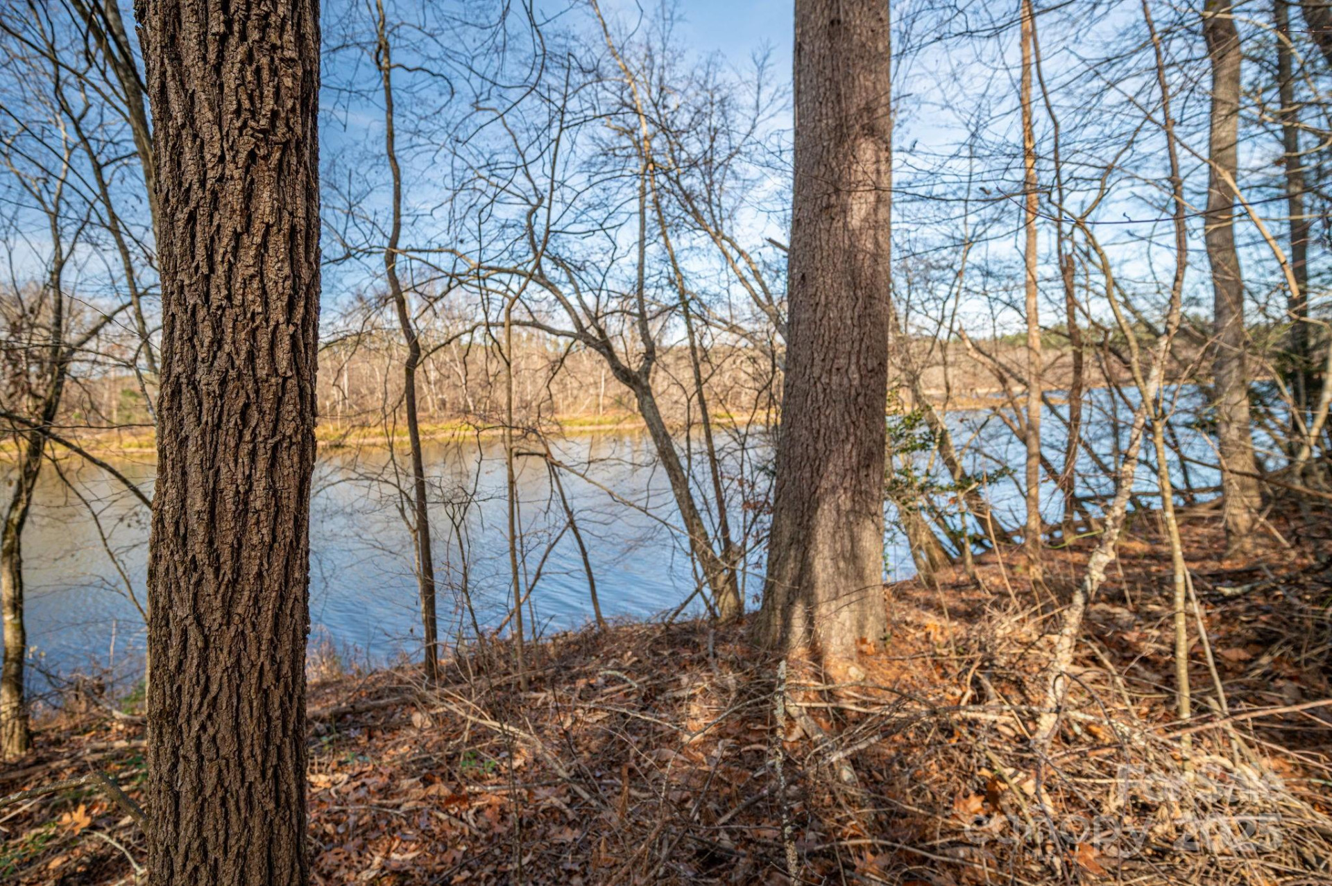 125 Catawba Cove Drive - Photo 27