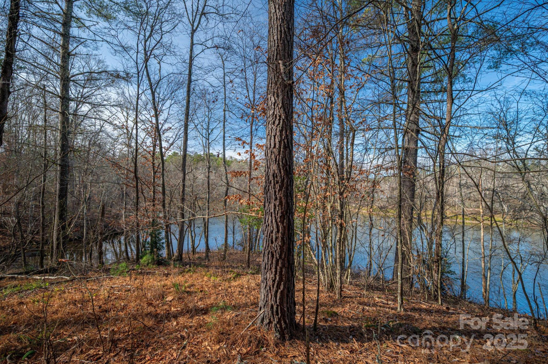 125 Catawba Cove Drive - Photo 28