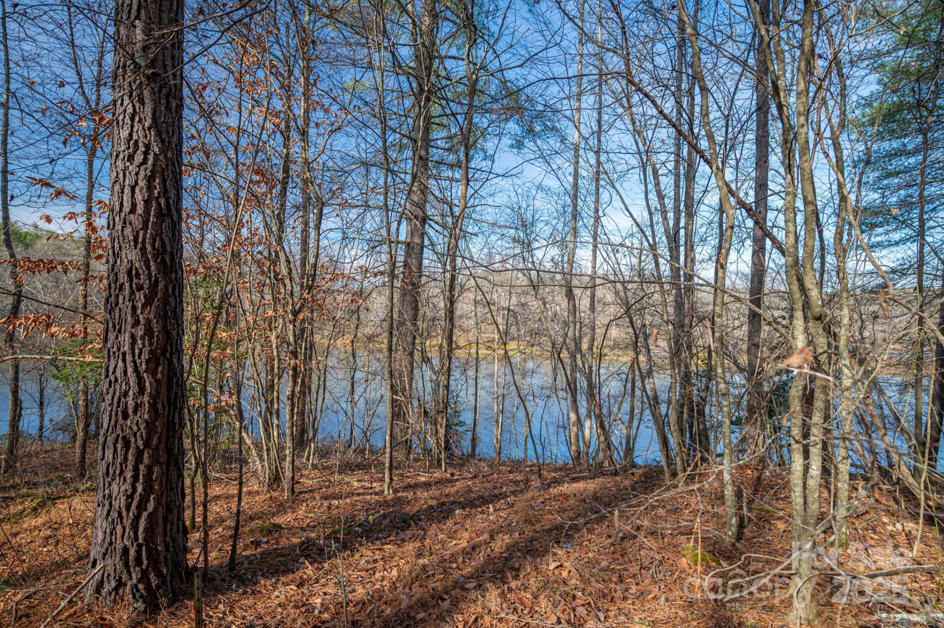 125 Catawba Cove Drive - Photo 29