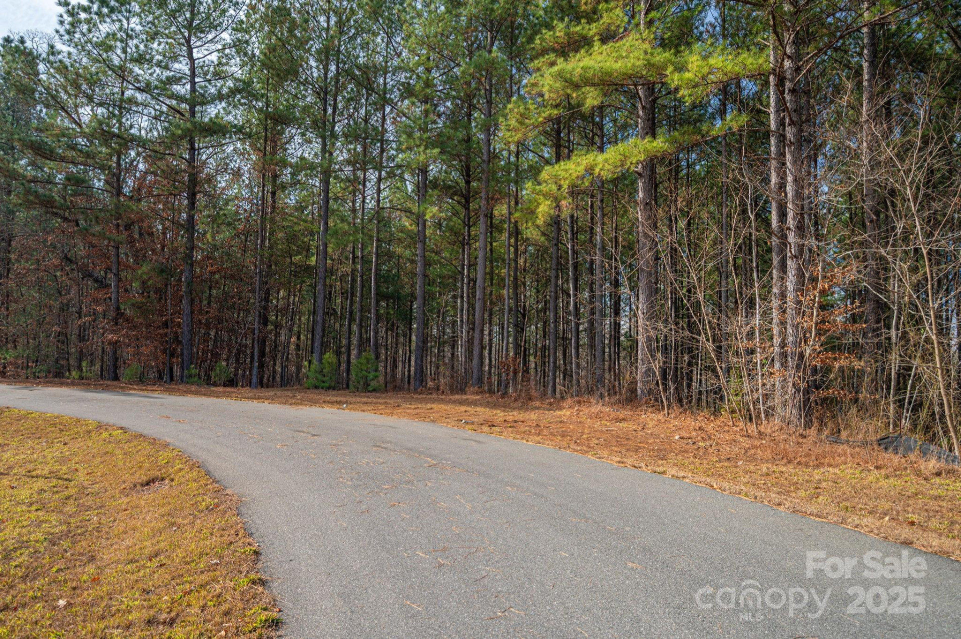125 Catawba Cove Drive - Photo 30