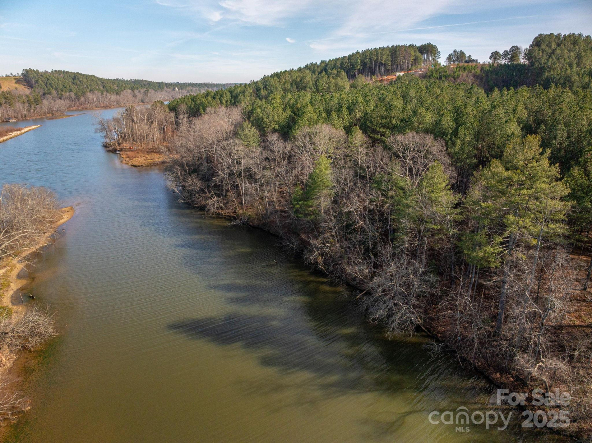 125 Catawba Cove Drive - Photo 4