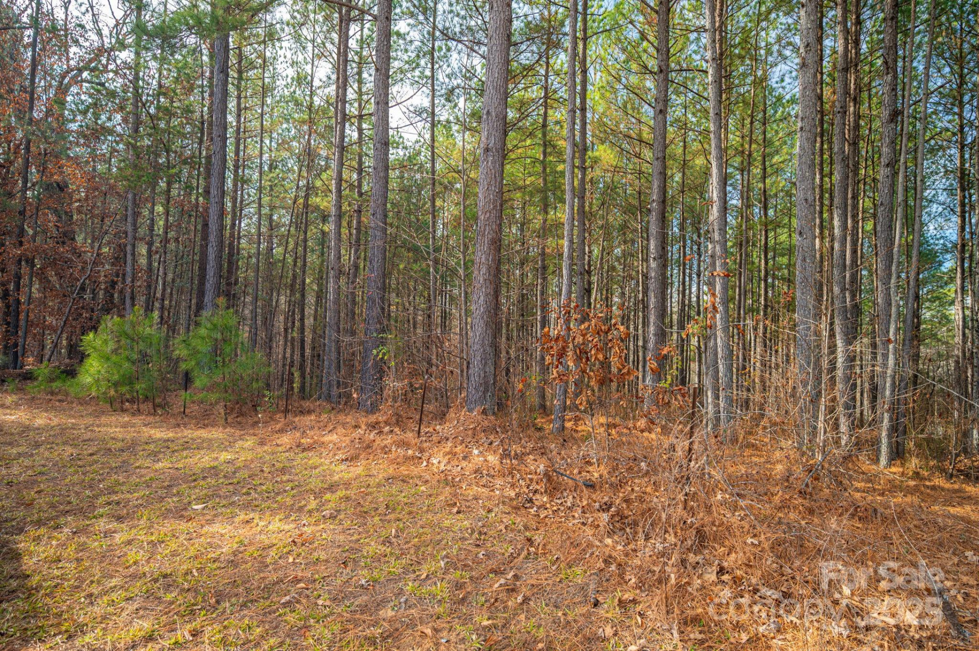 125 Catawba Cove Drive - Photo 31