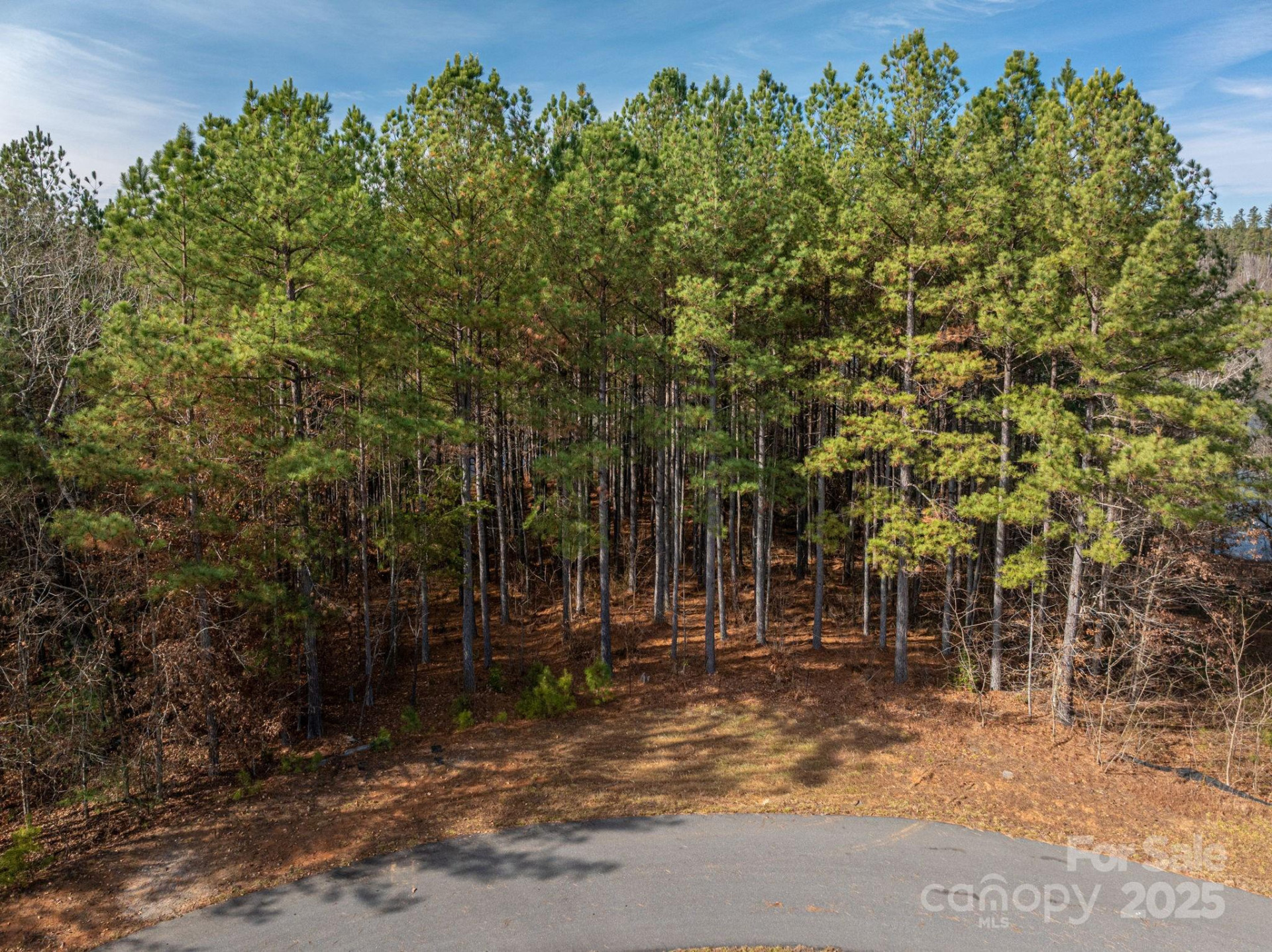 125 Catawba Cove Drive - Photo 32