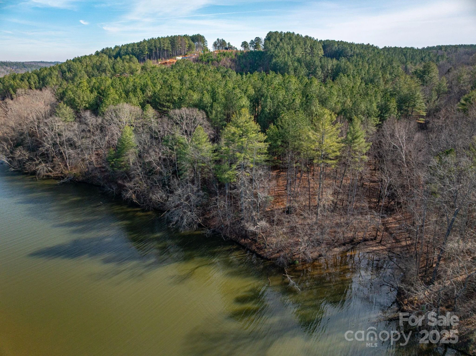 125 Catawba Cove Drive - Photo 5