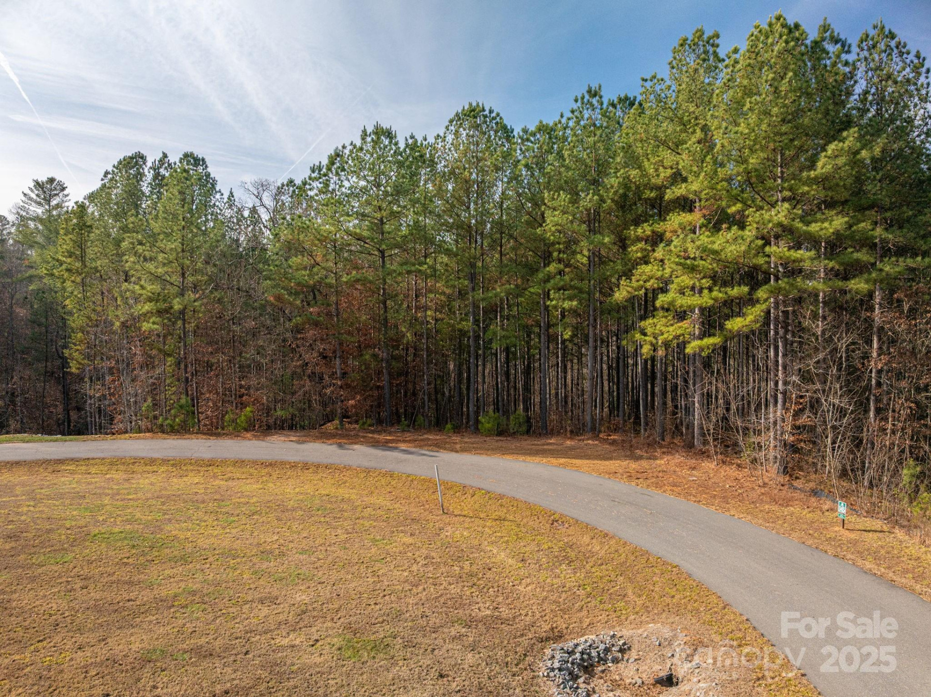125 Catawba Cove Drive - Photo 8