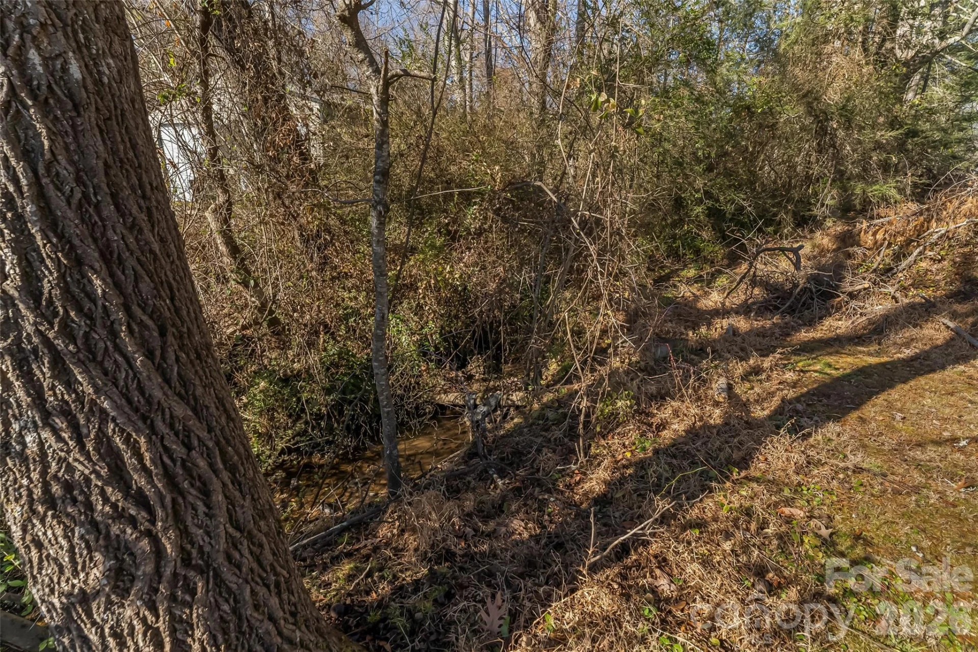 503 Old Hendersonville Highway - Photo 23