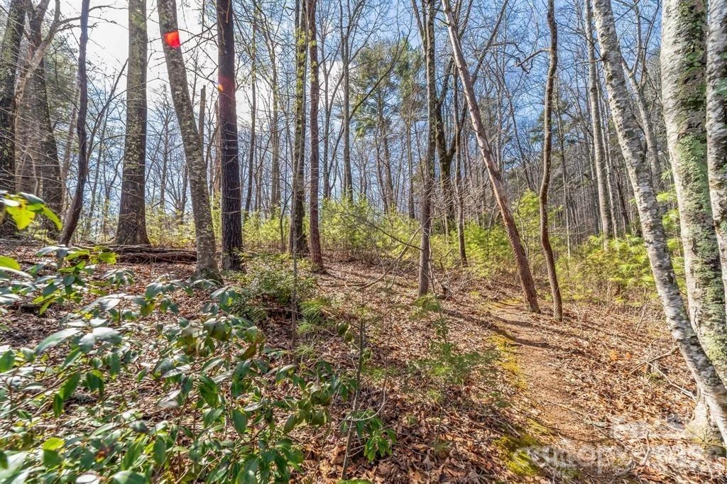 99999 Mill Road - Photo 2