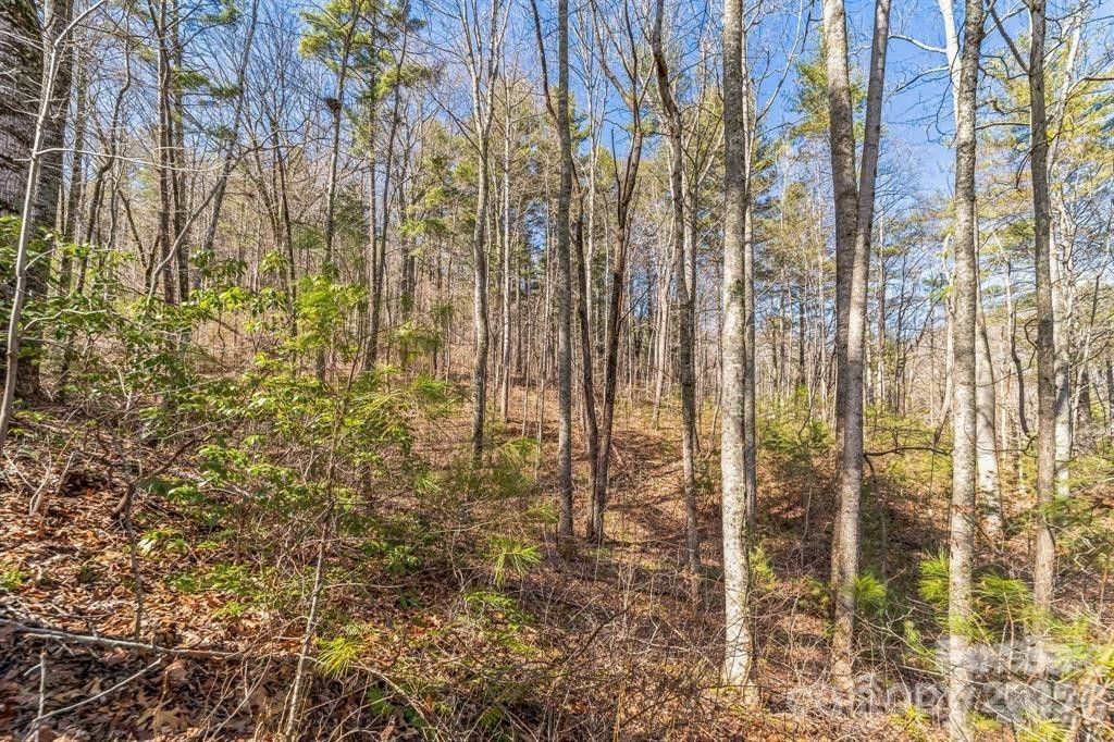 99999 Mill Road - Photo 4