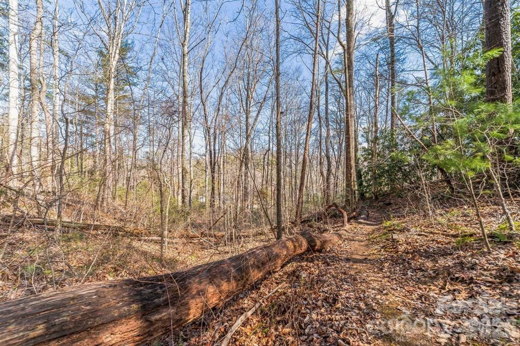 99999 Mill Road - Photo 5