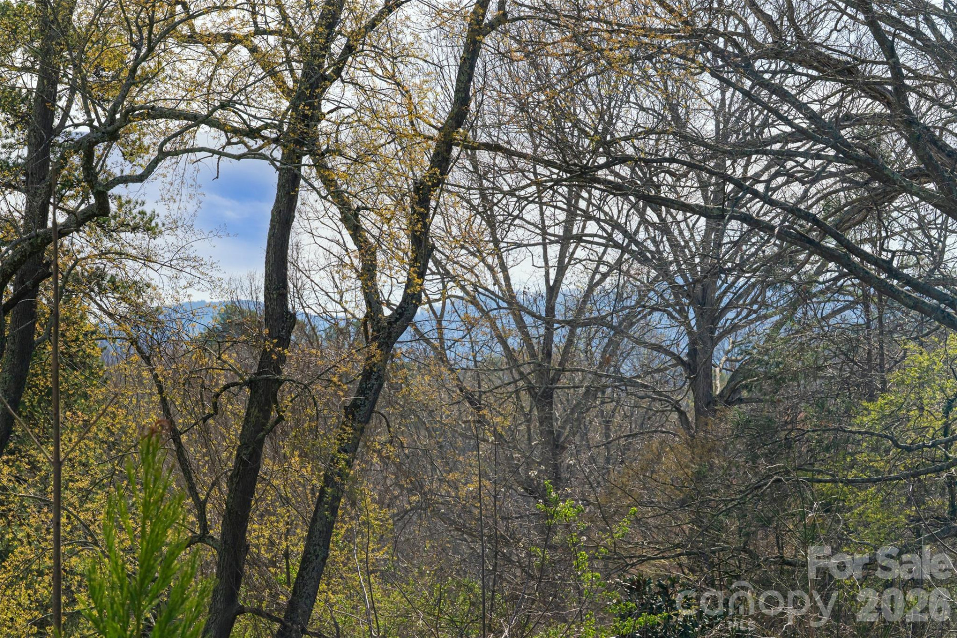 10 Lance Lane - Photo 38