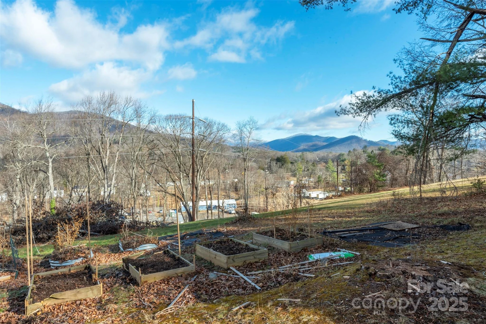 333 Richmond Avenue - Photo 5
