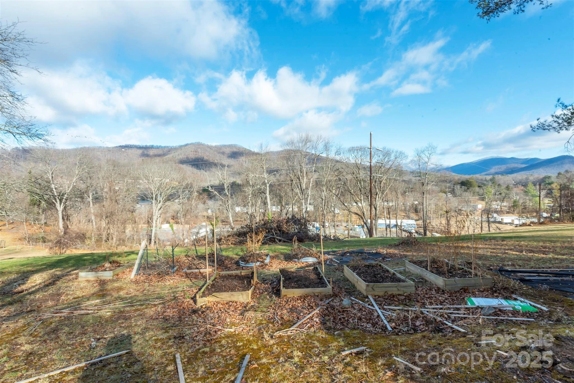 333 Richmond Avenue - Photo 6