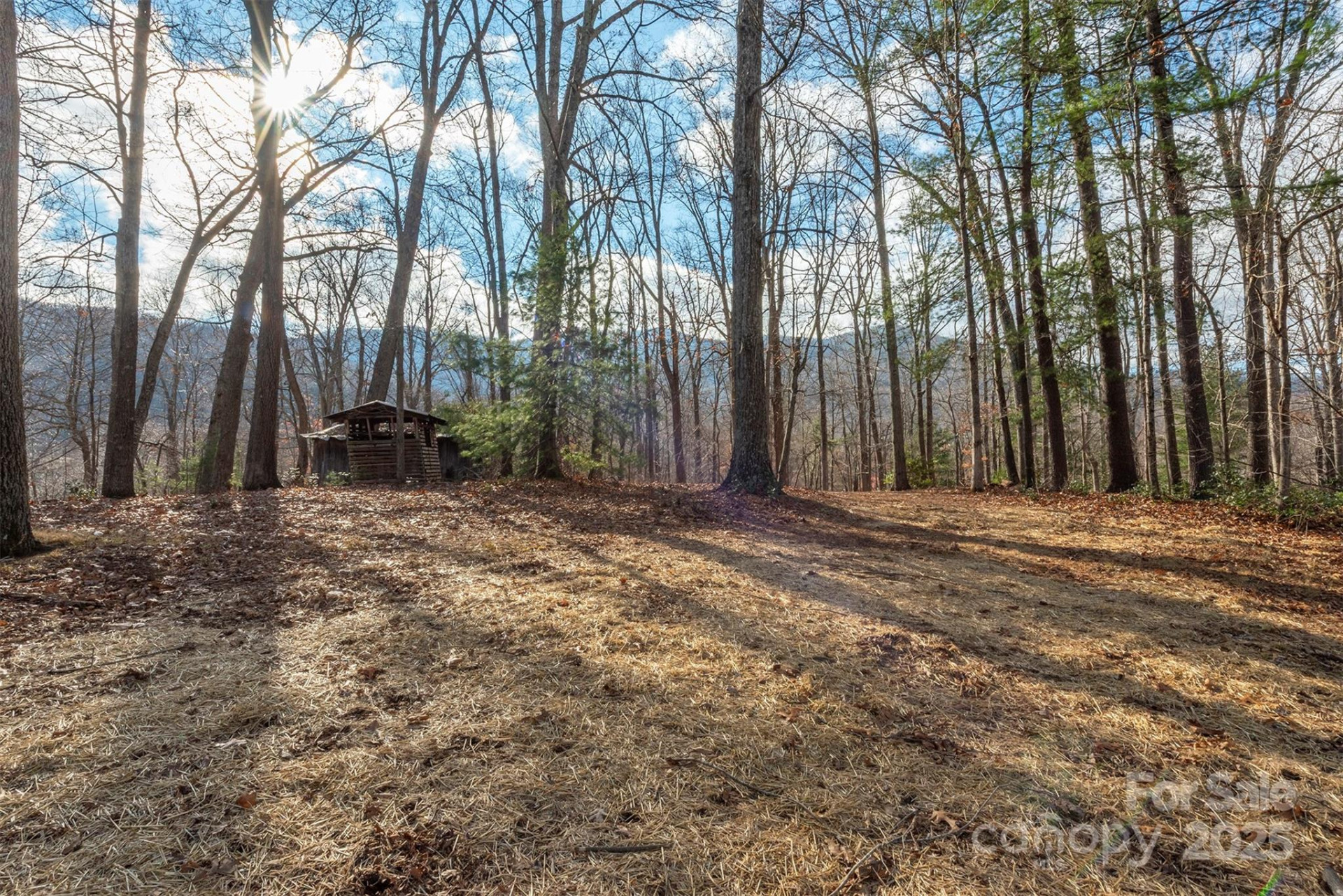 333 Richmond Avenue - Photo 8